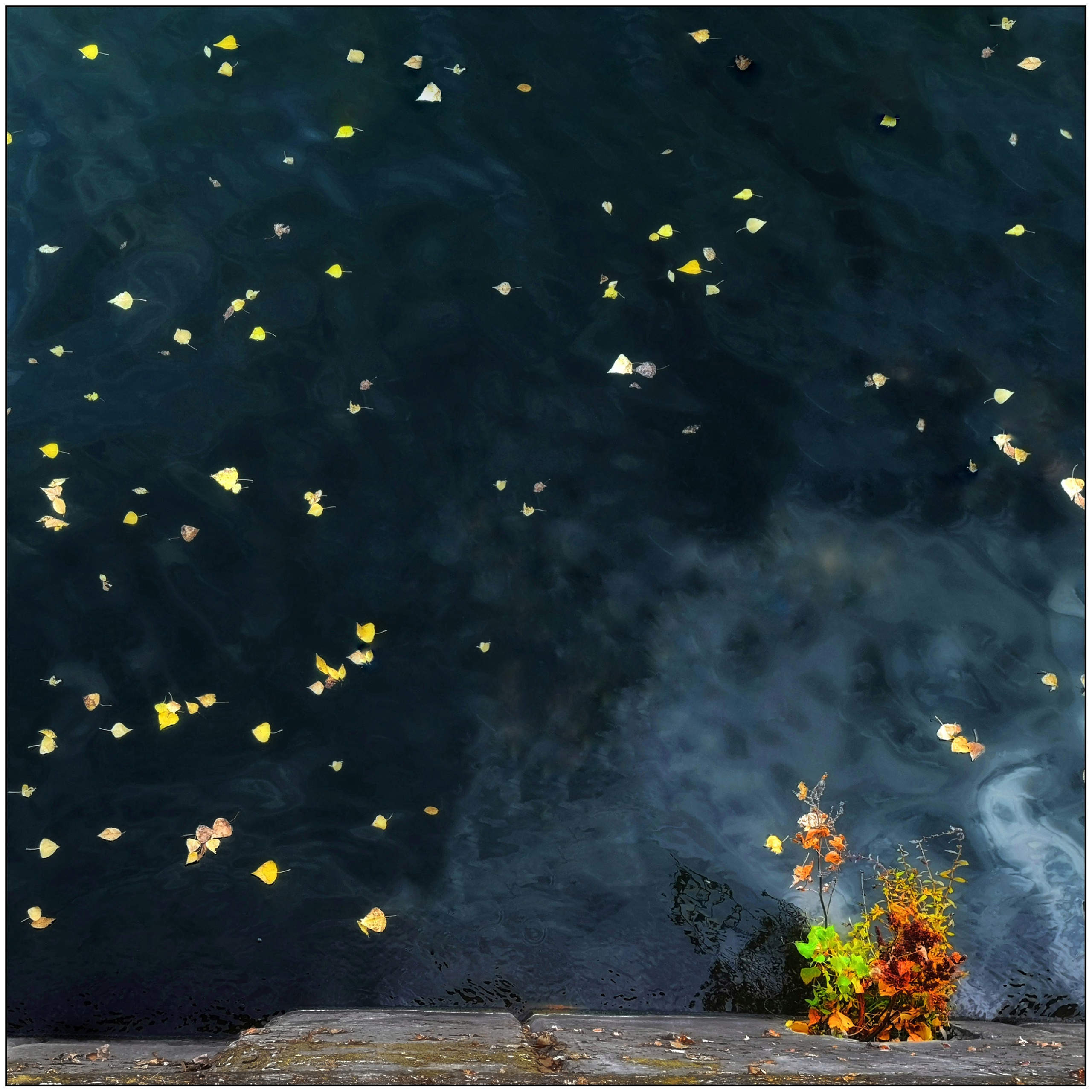 Стрит и пейзажи. Главная