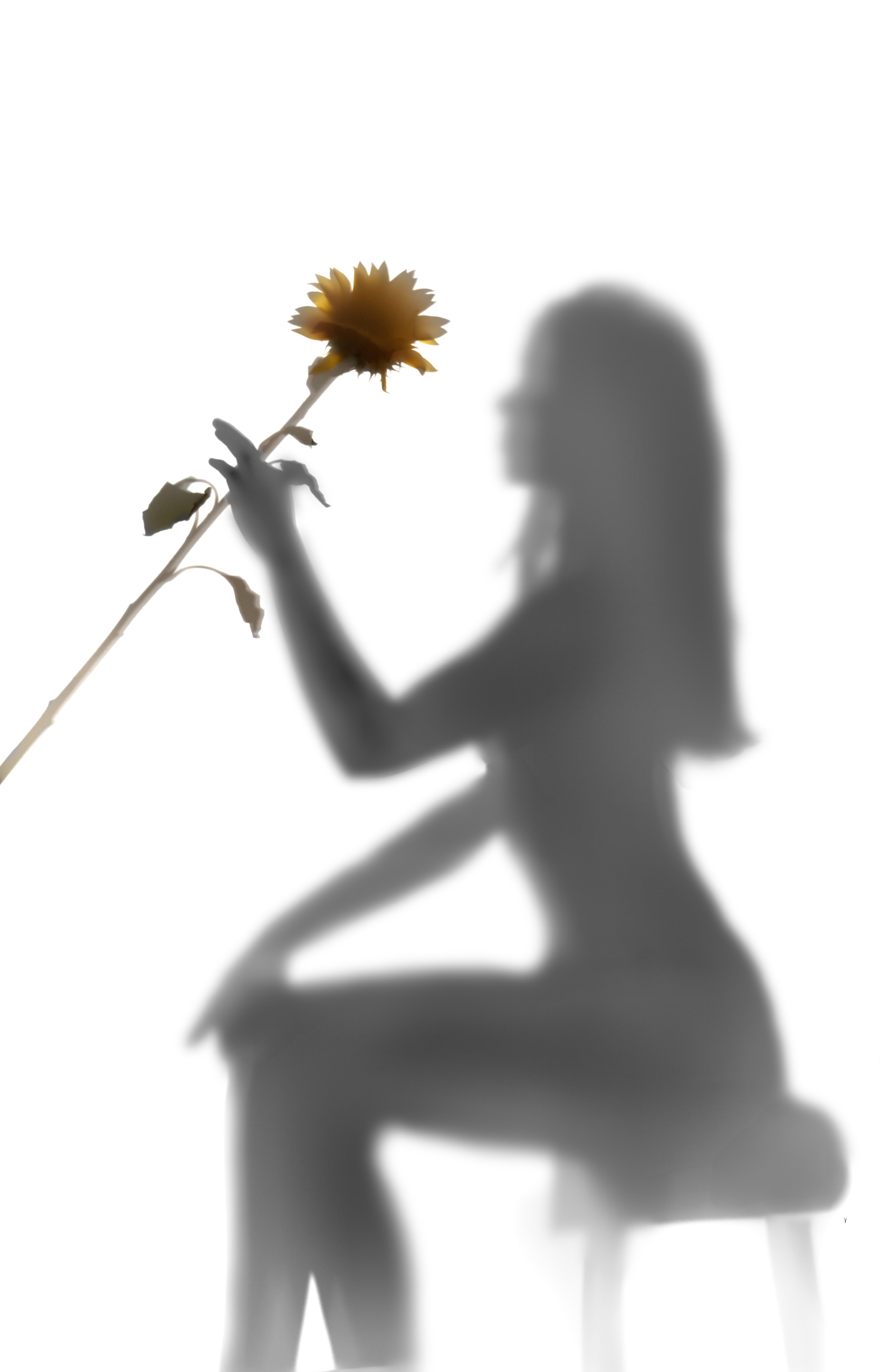 Арт и фешн. Главная