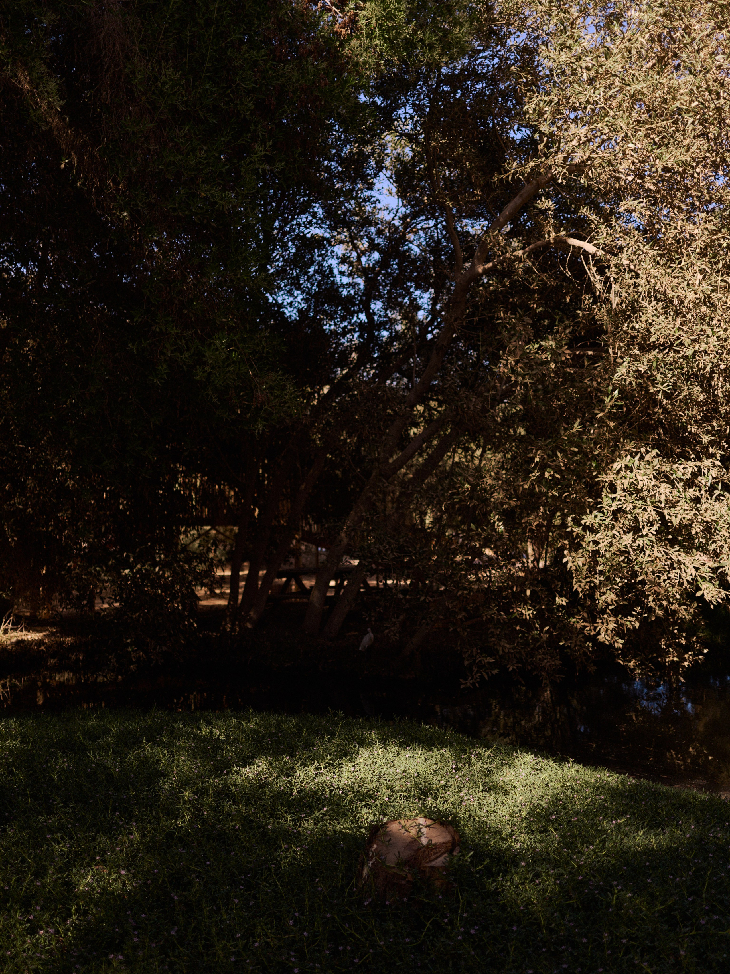 Другое 3. Jorgis Talè — photographer, kind person, teacher of arts and other mag