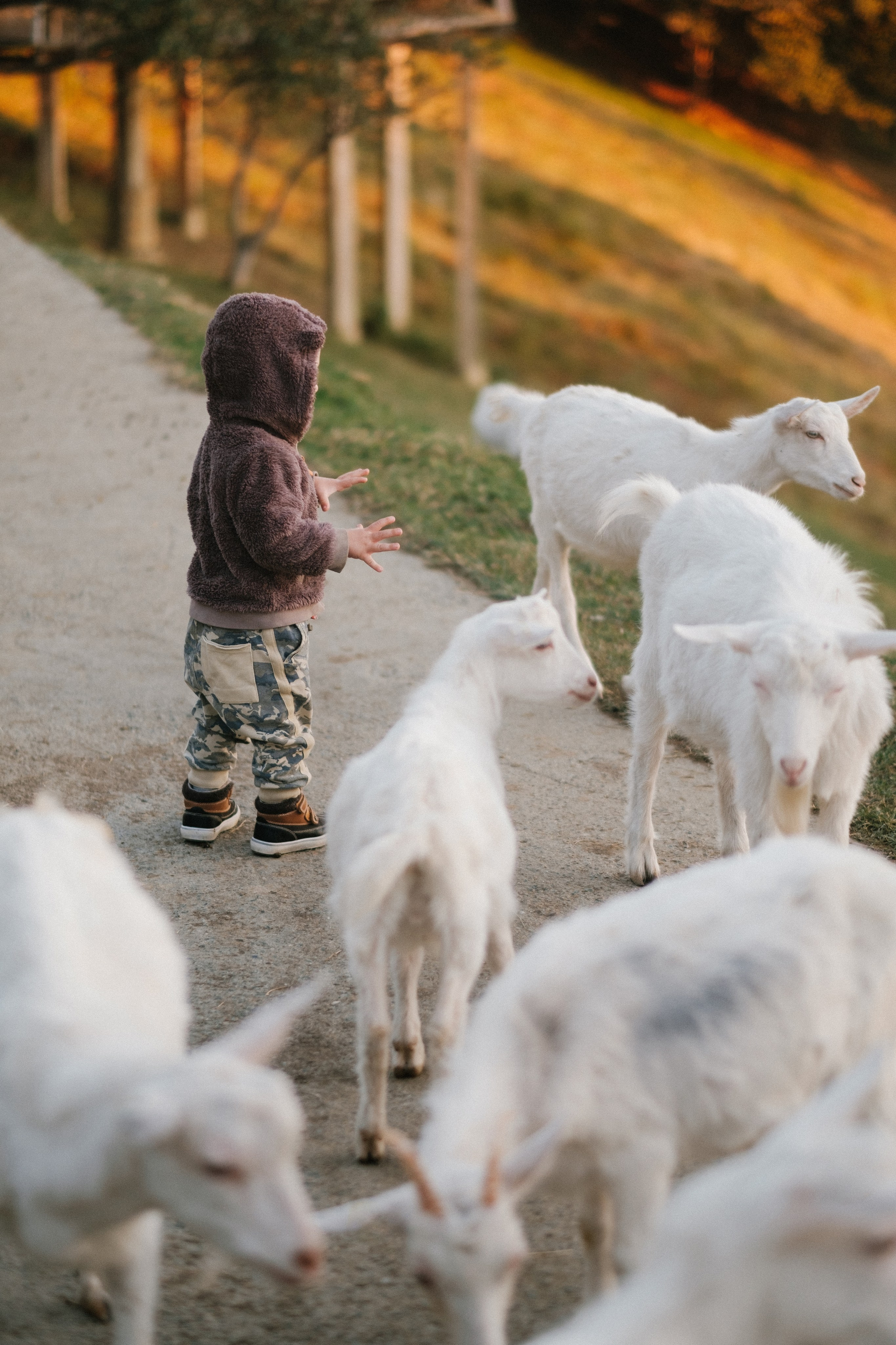 Экзархо. Свадебный Видеограф Фотограф в Сочи