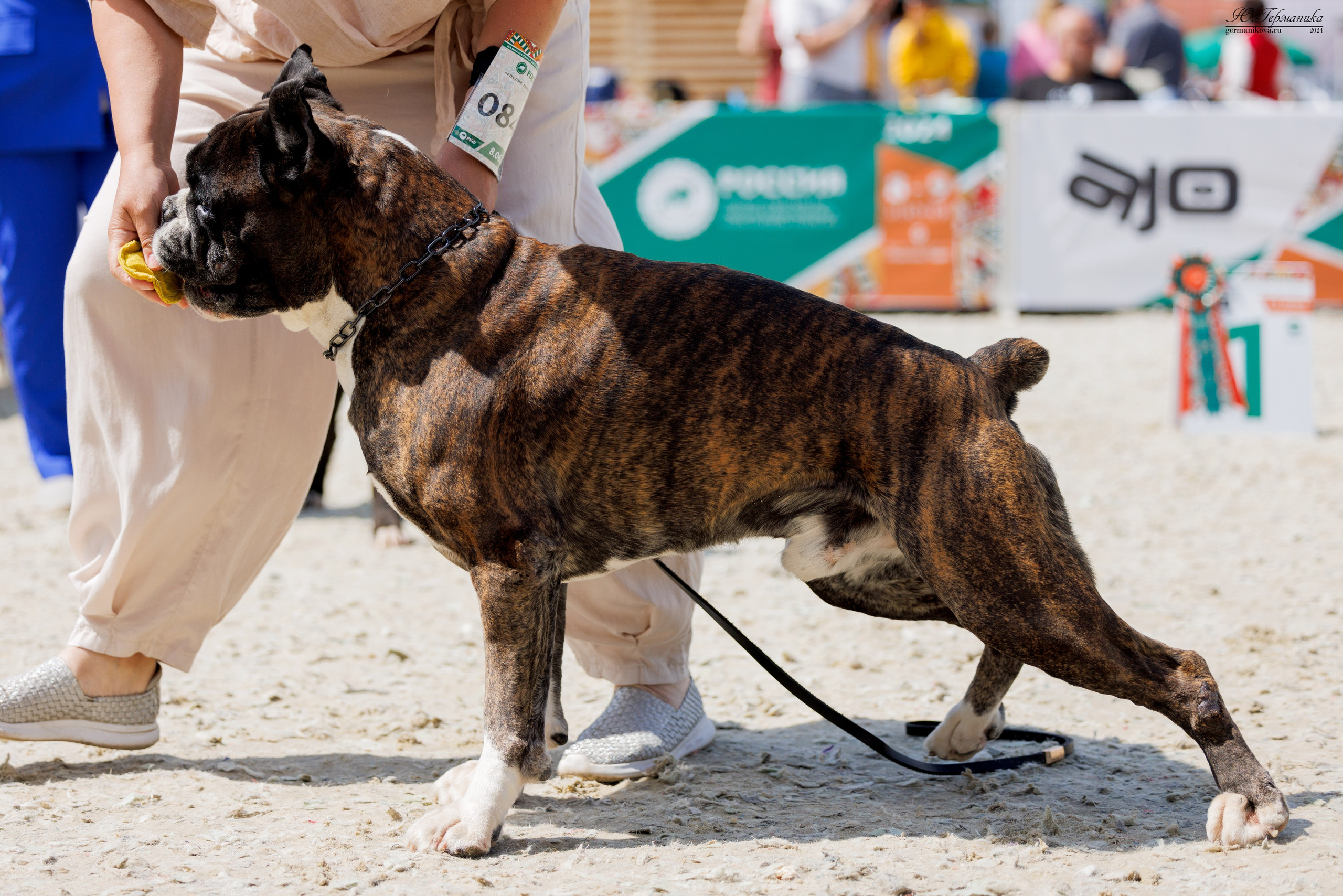 РОССИЯ 8-9.06.2024. Фотограф-анималист Юлия Германика