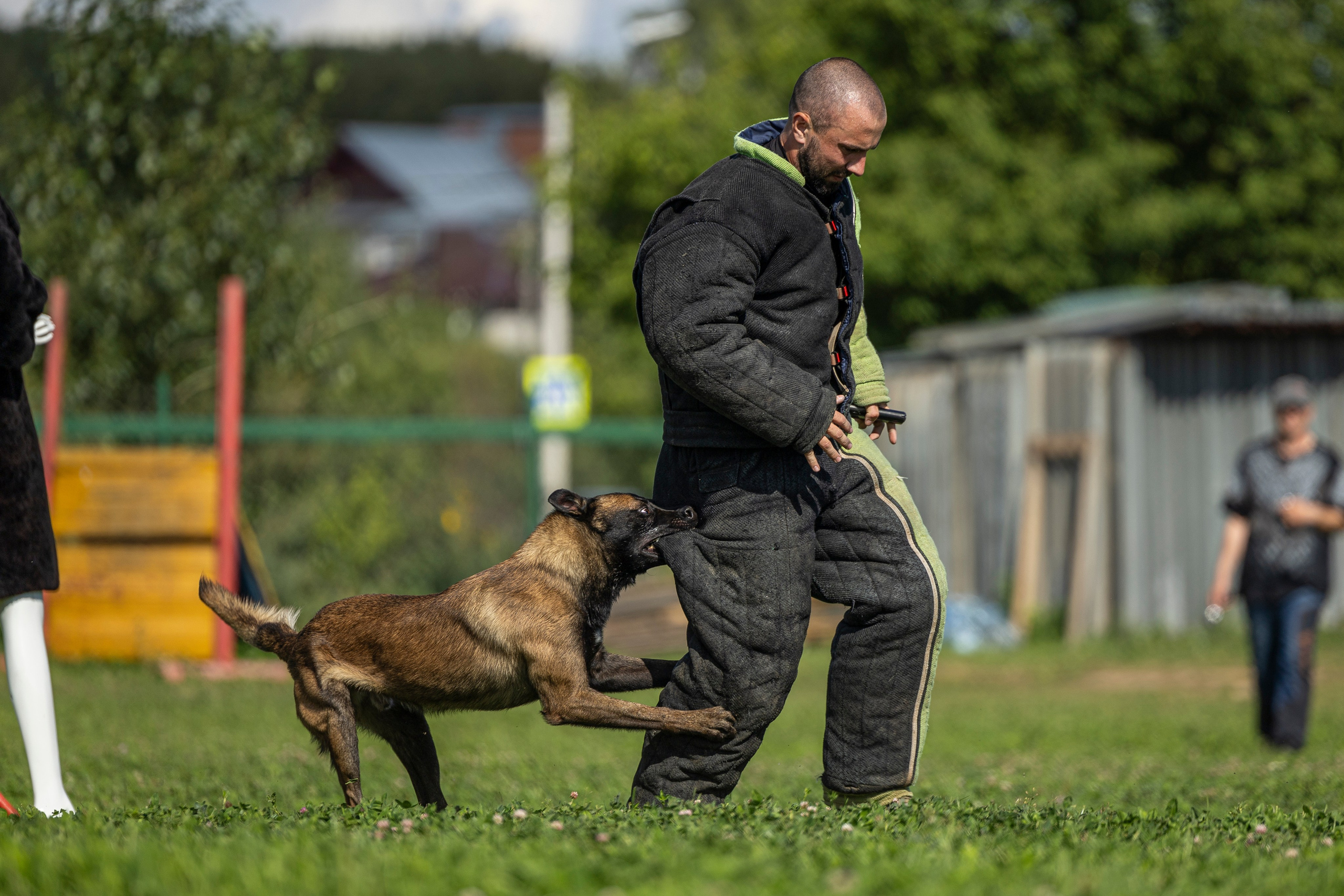 Соревнования по Мондьорингу г. Вологда 10-11.08.2024. Фотограф-анималист Анна Маринич
