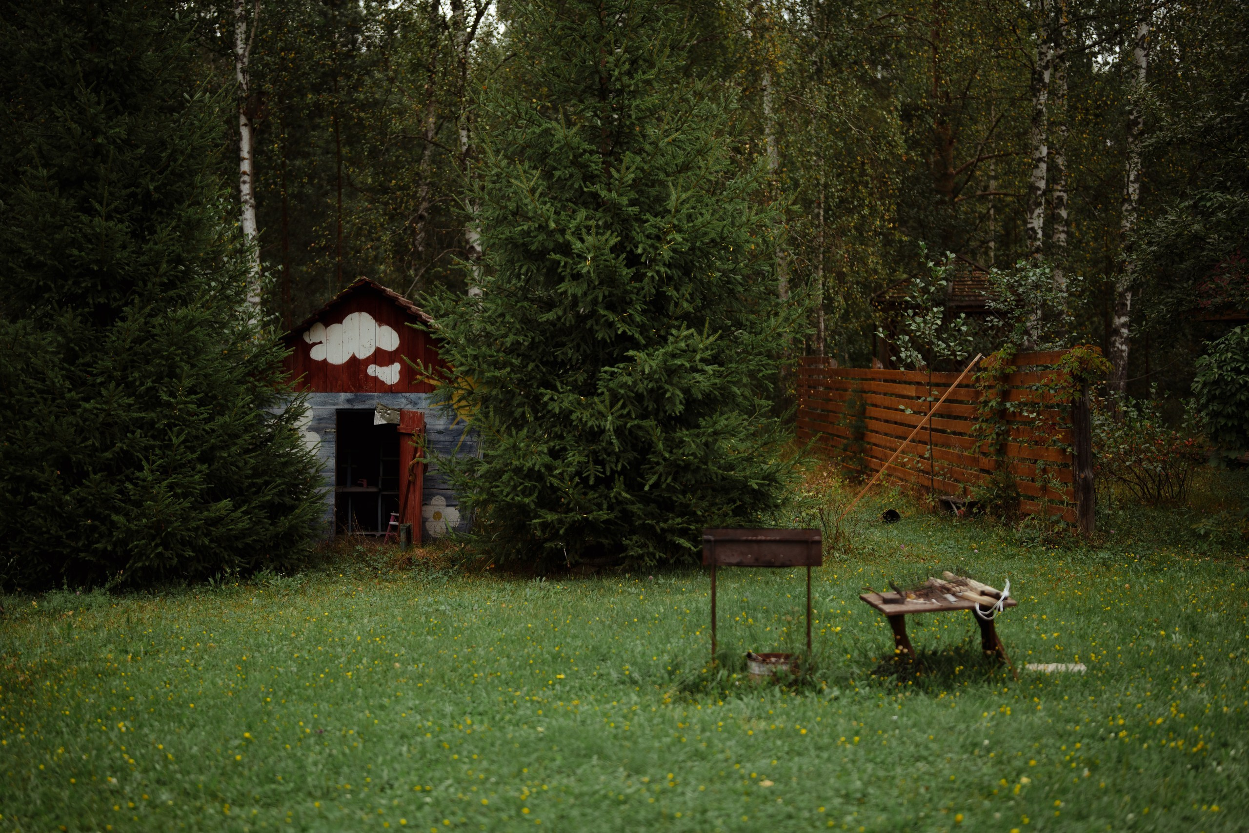 Сюжет № 11|Виктория Алексеенко