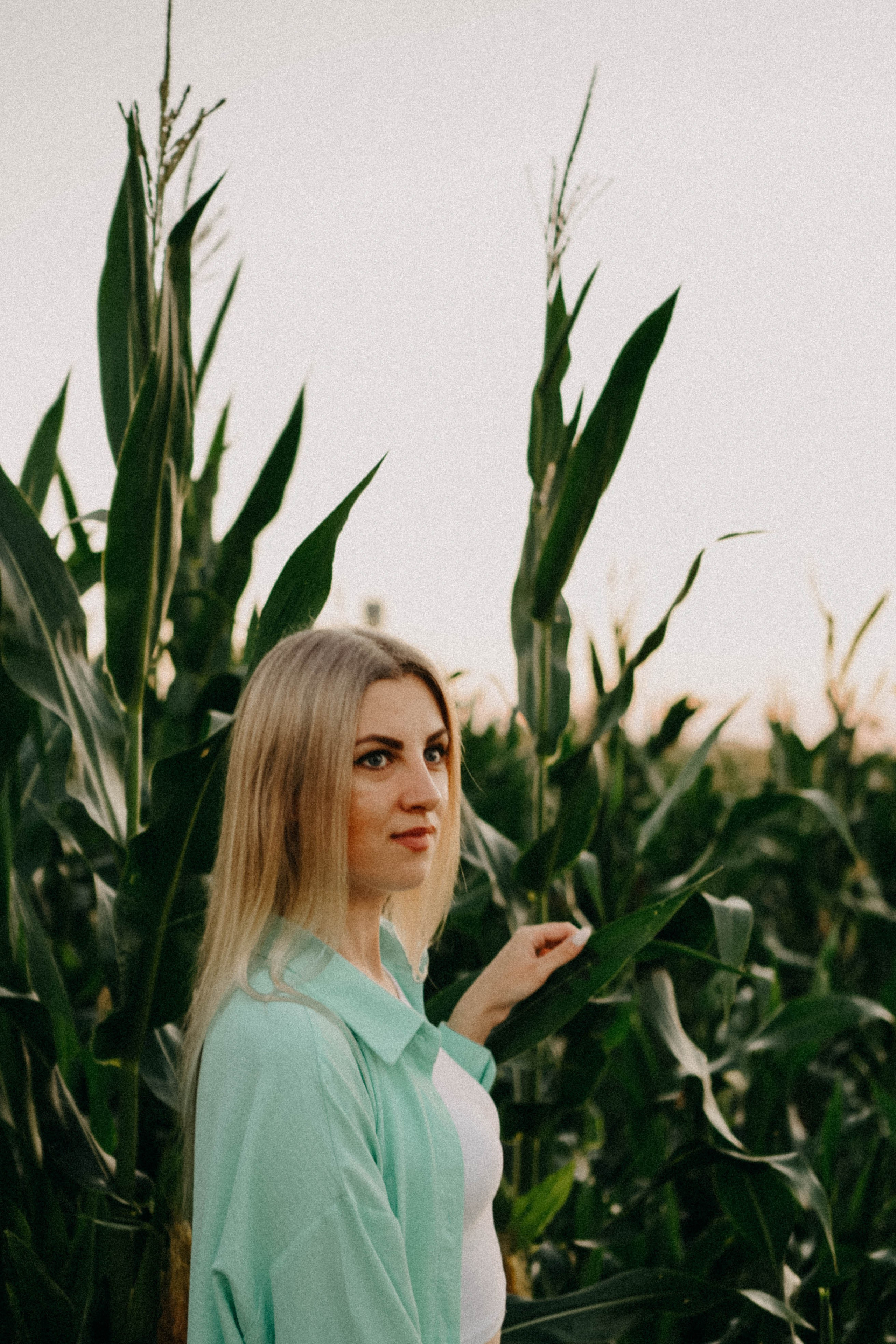 Летний вечер. Профессиональный фотограф, Санкт-Петербург — Виктория Богомолова