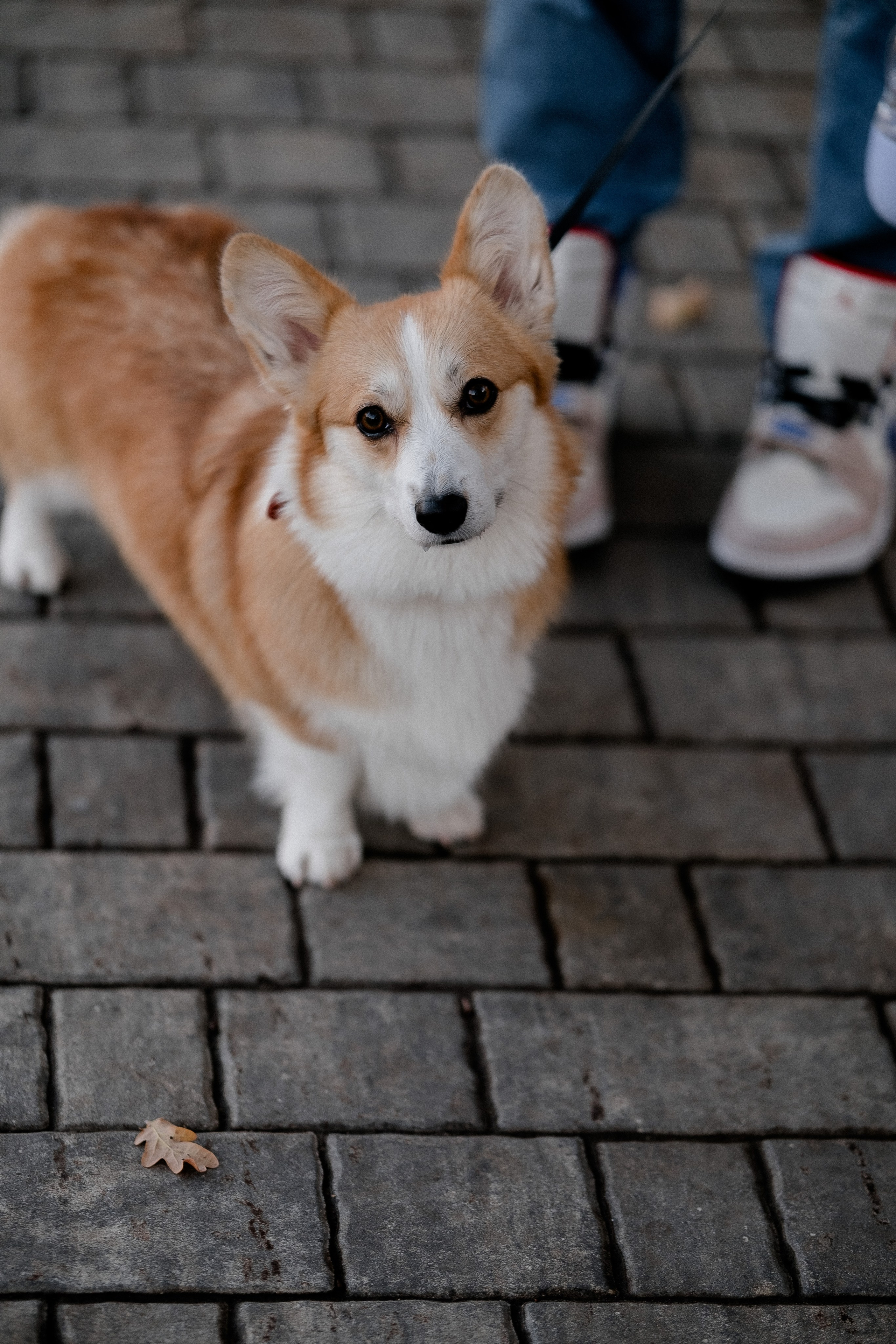 Радик. Свадебный и семейный фотограф в Казани и Зеленодольске Ланочкин Илья