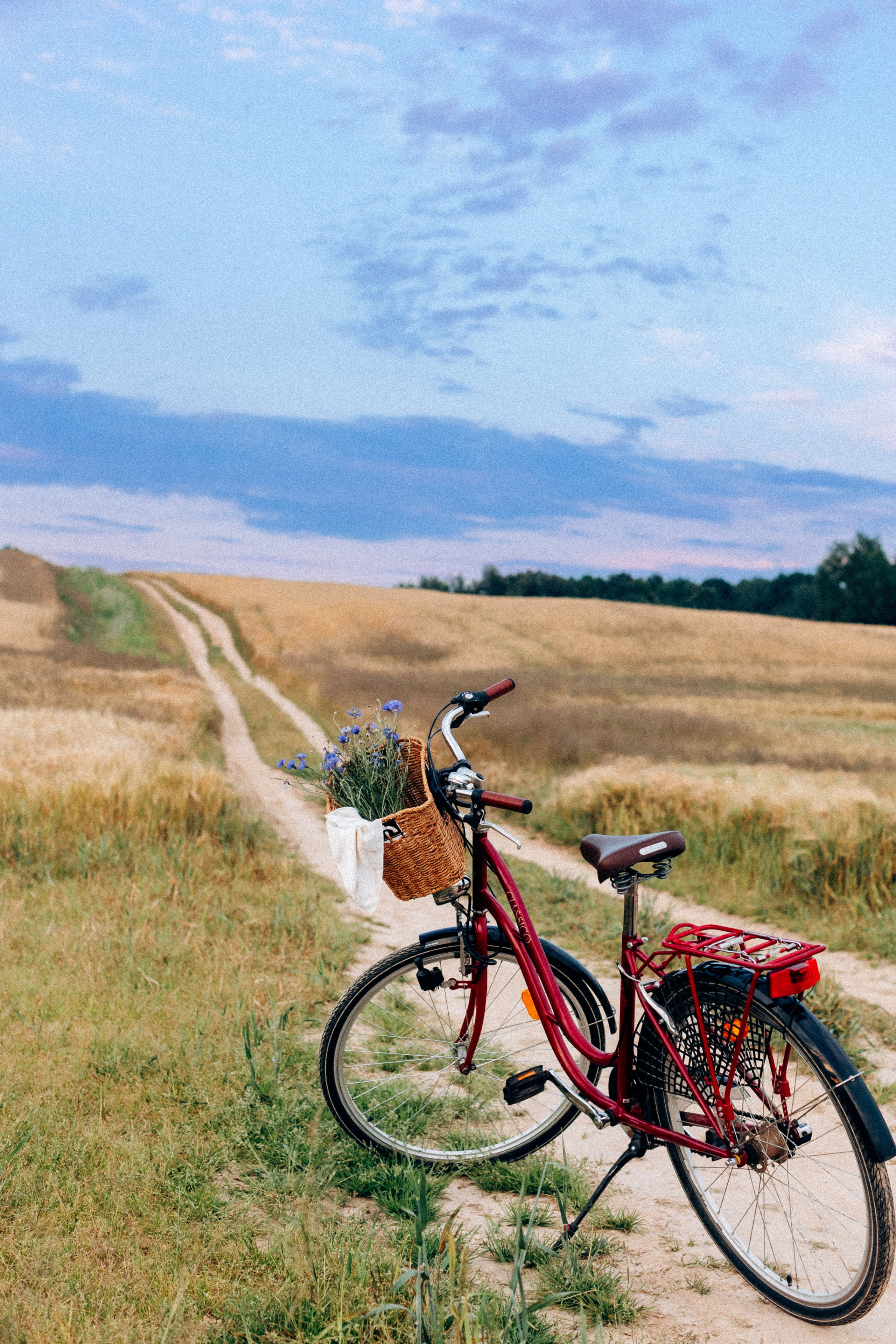А чем пахнет ваше лето?. Портретный фотограф в Минске Анна Волейко