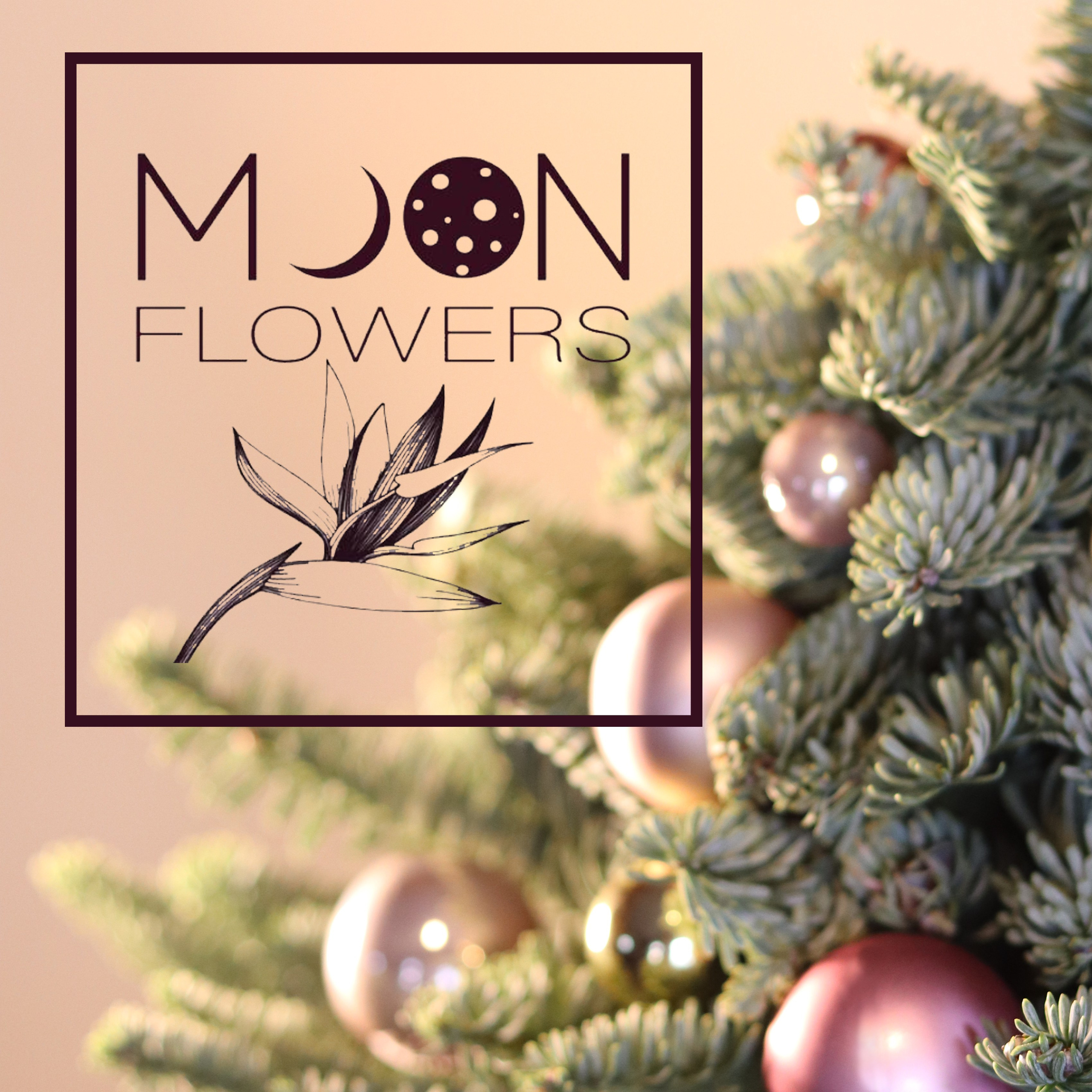 Нобилис. River clover