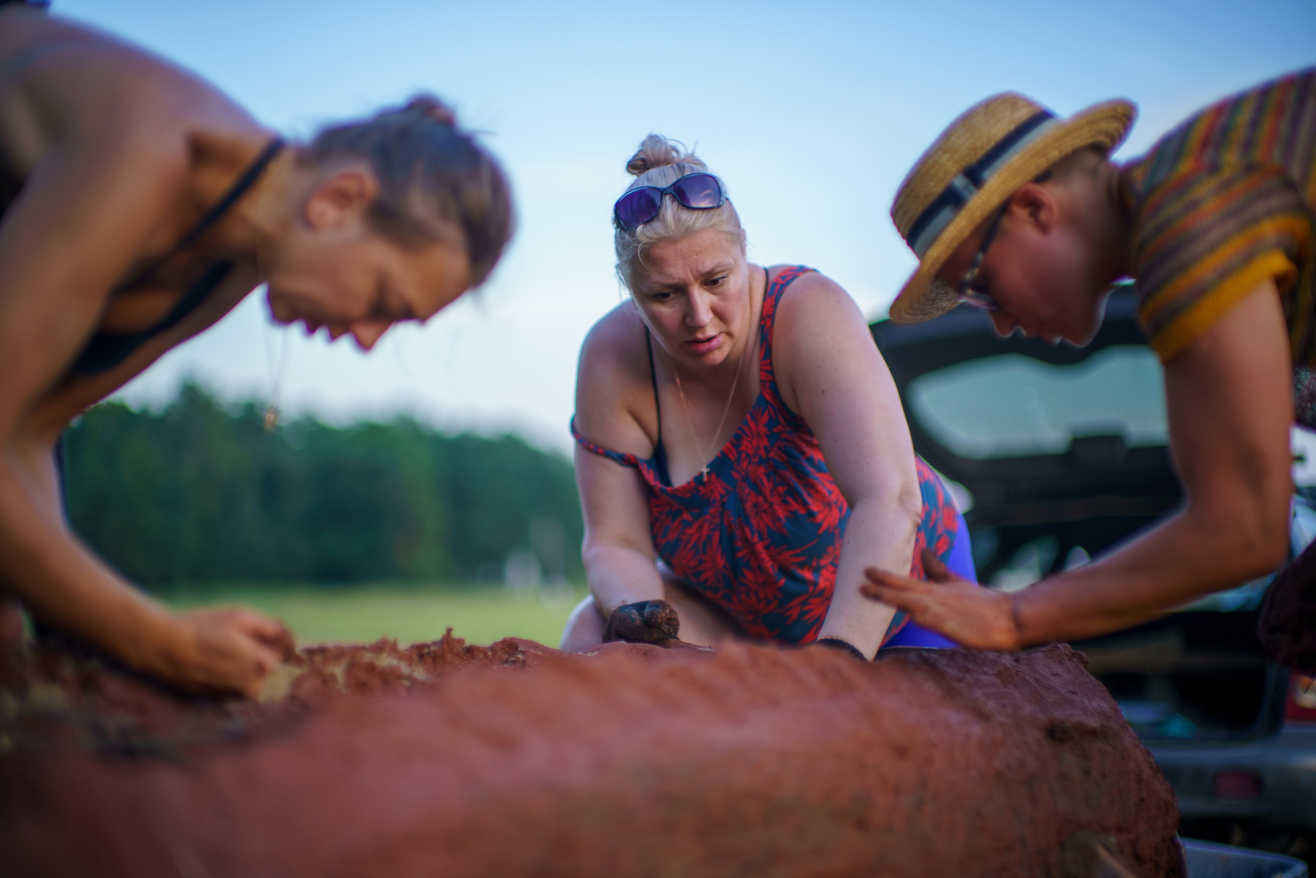 Wild fire 2024 — Дикий огонь 2024