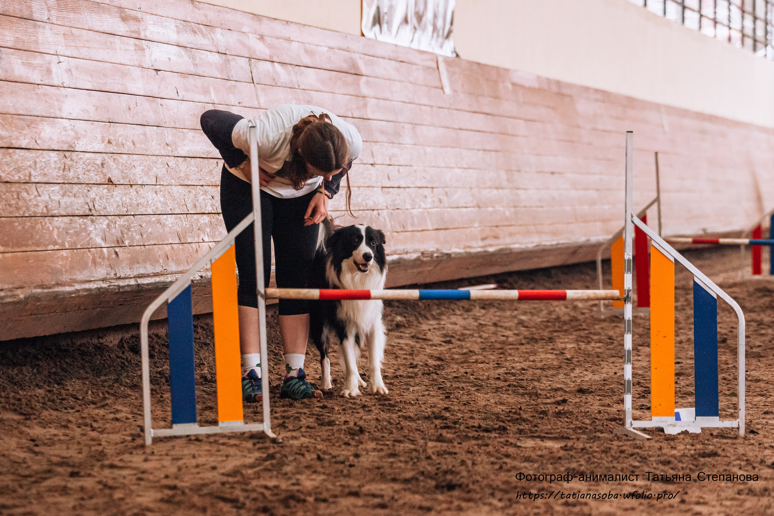 Соревнования по Аджилити 25.02.2024. Фотограф-анималист Татьяна Степанова