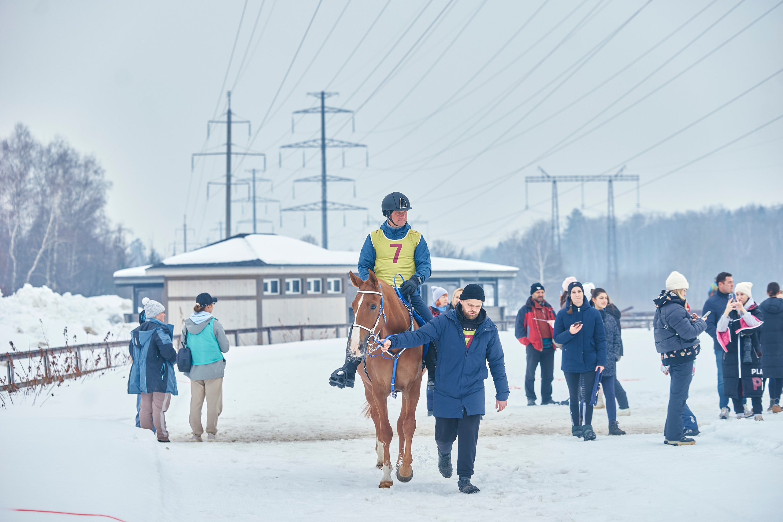 HORSE RACING. Фотограф Наталья Леонова