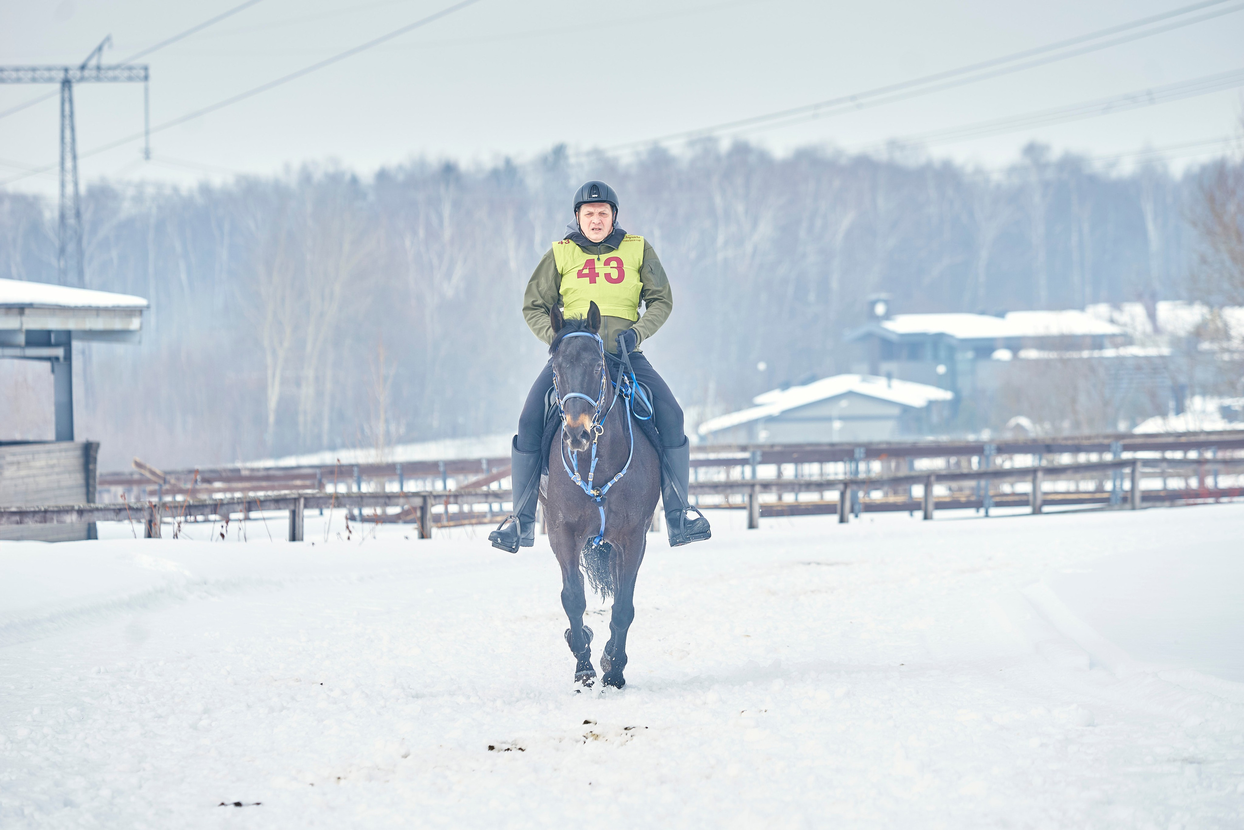 HORSE RACING. Фотограф Наталья Леонова