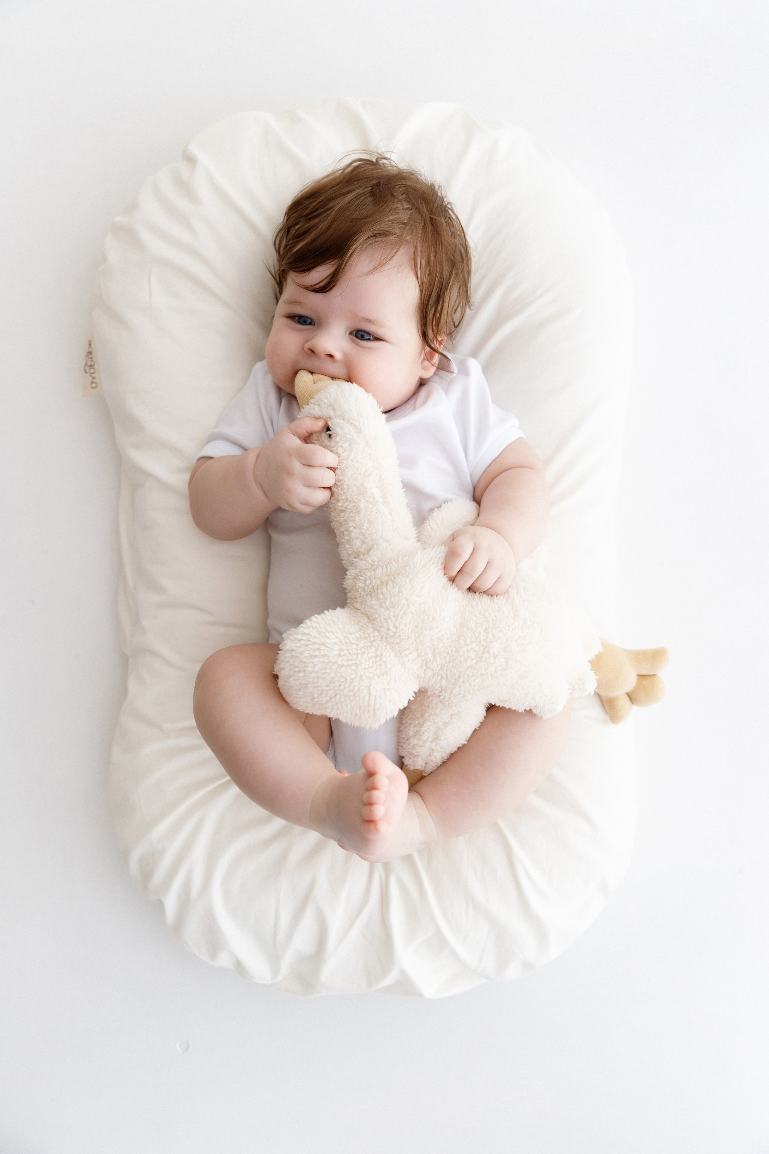 Артём 6 месяцев. Фотограф новорожденных Славянск-на-Кубани Куцевольская Екатерина