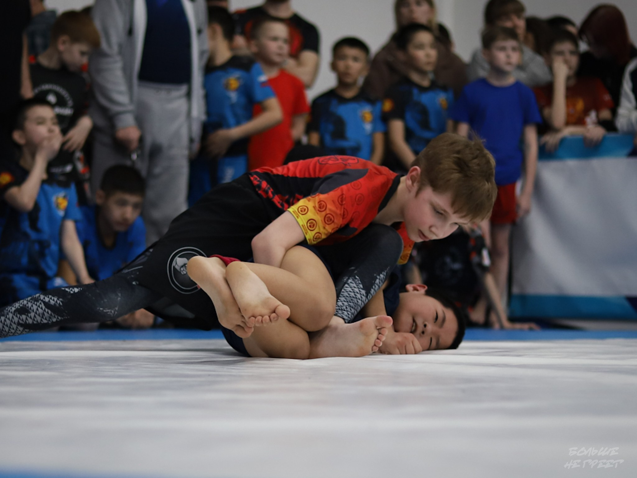 GORILLA PRIDE CUP. Больше не греет