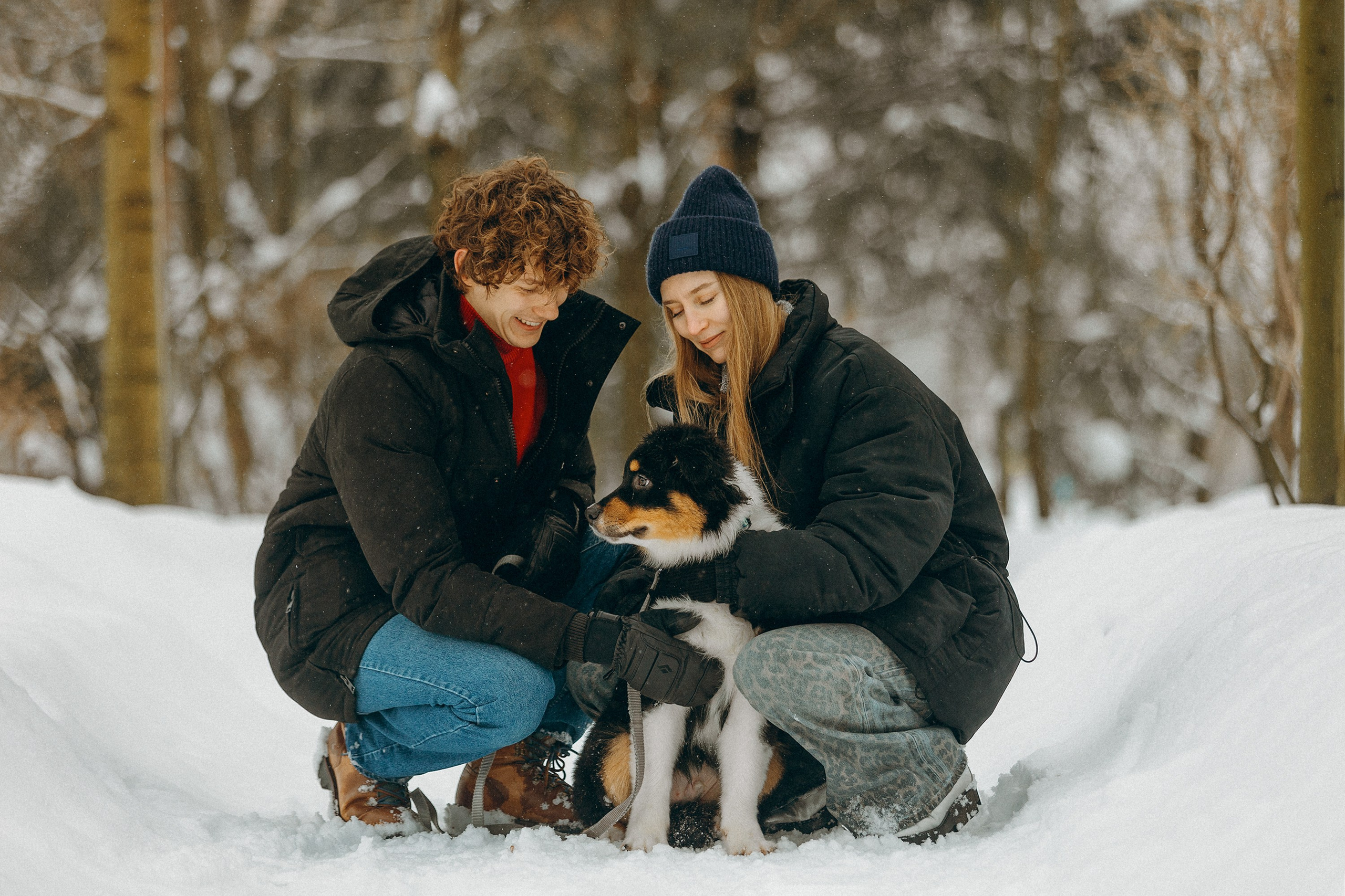 Рей со своей семьей. Фотограф. Фотограф-анималист. Москва
