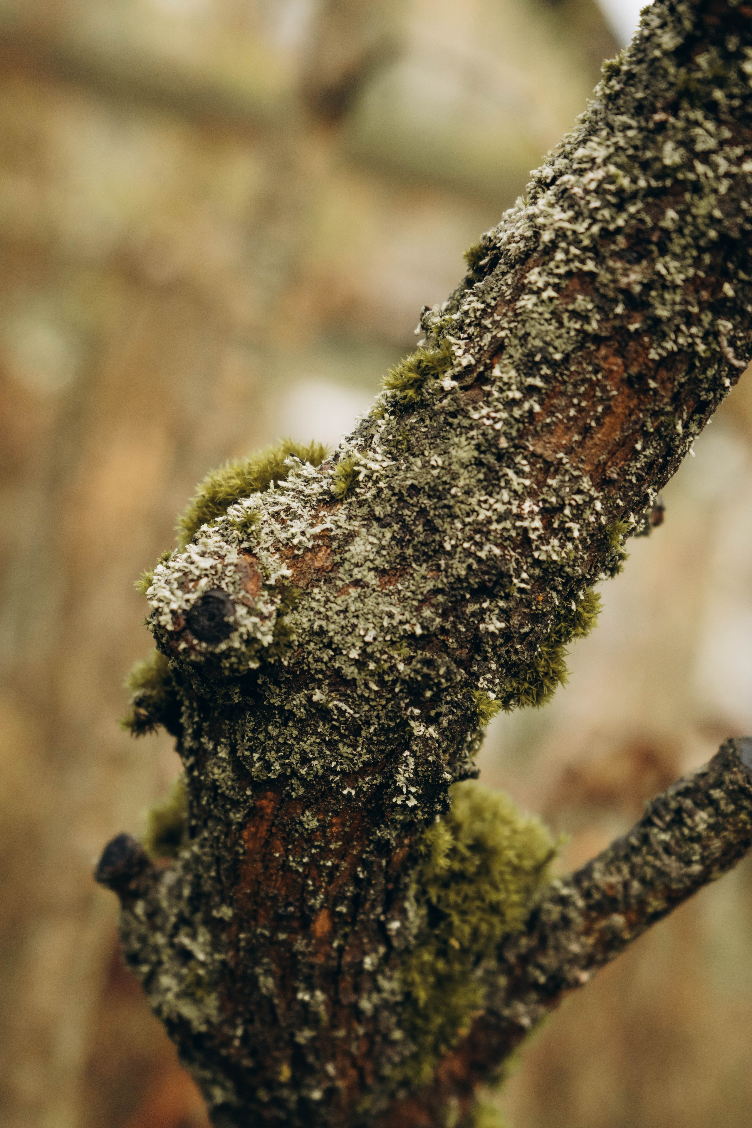 Съемка студии «Аж уютно». Фотограф Москва Валерия Веденина
