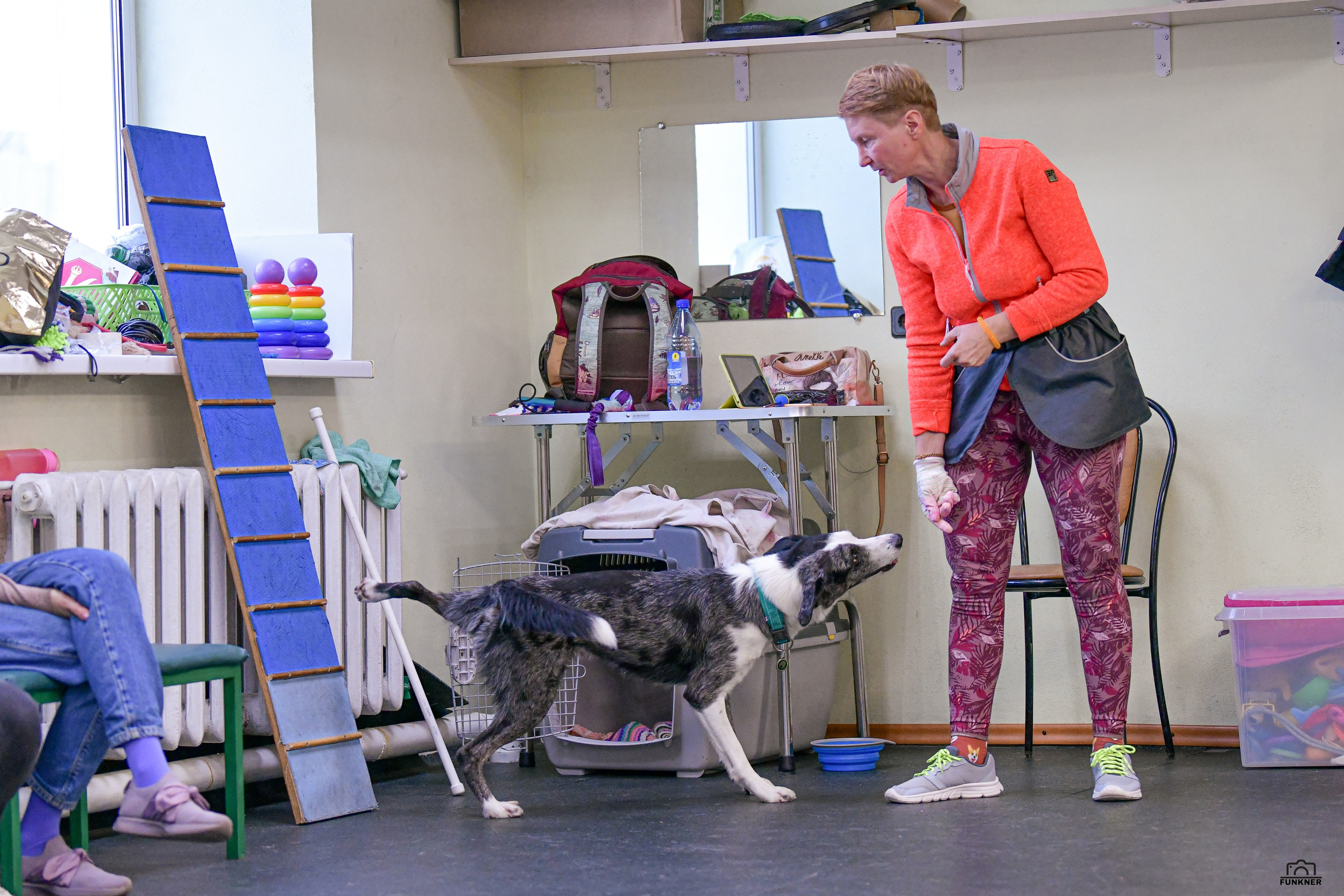 Кинологический клуб «Бодрый хвост». Свой взгляд через объектив