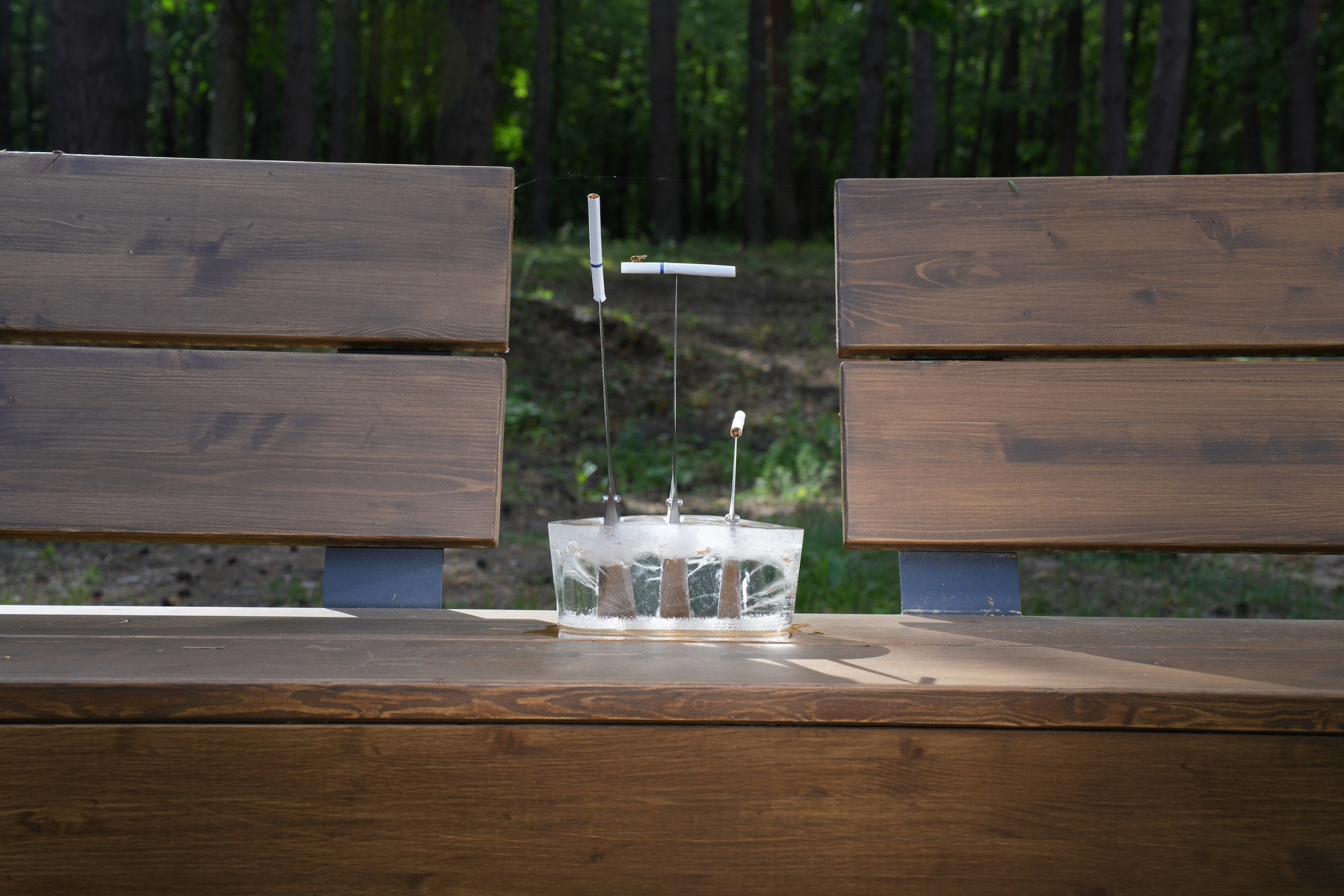 Фотограф Максим Бут, изобразительное искусство. Принт в продаже. Fine Art. 