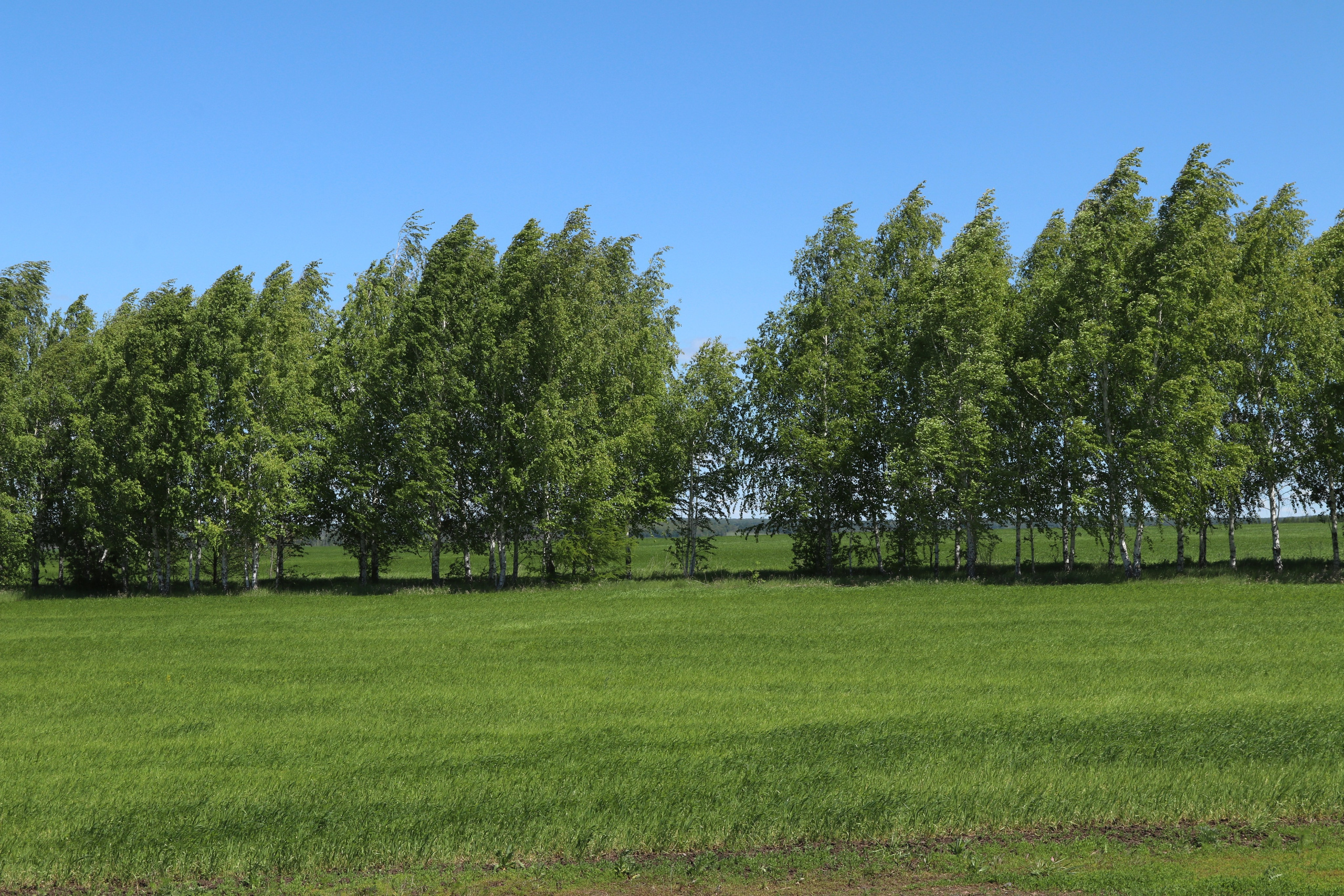 Велопоход Уфа — Мелеуз. Май 2024. Путешественник-фотограф из Санкт-Петербурга Татьяна Свистулина