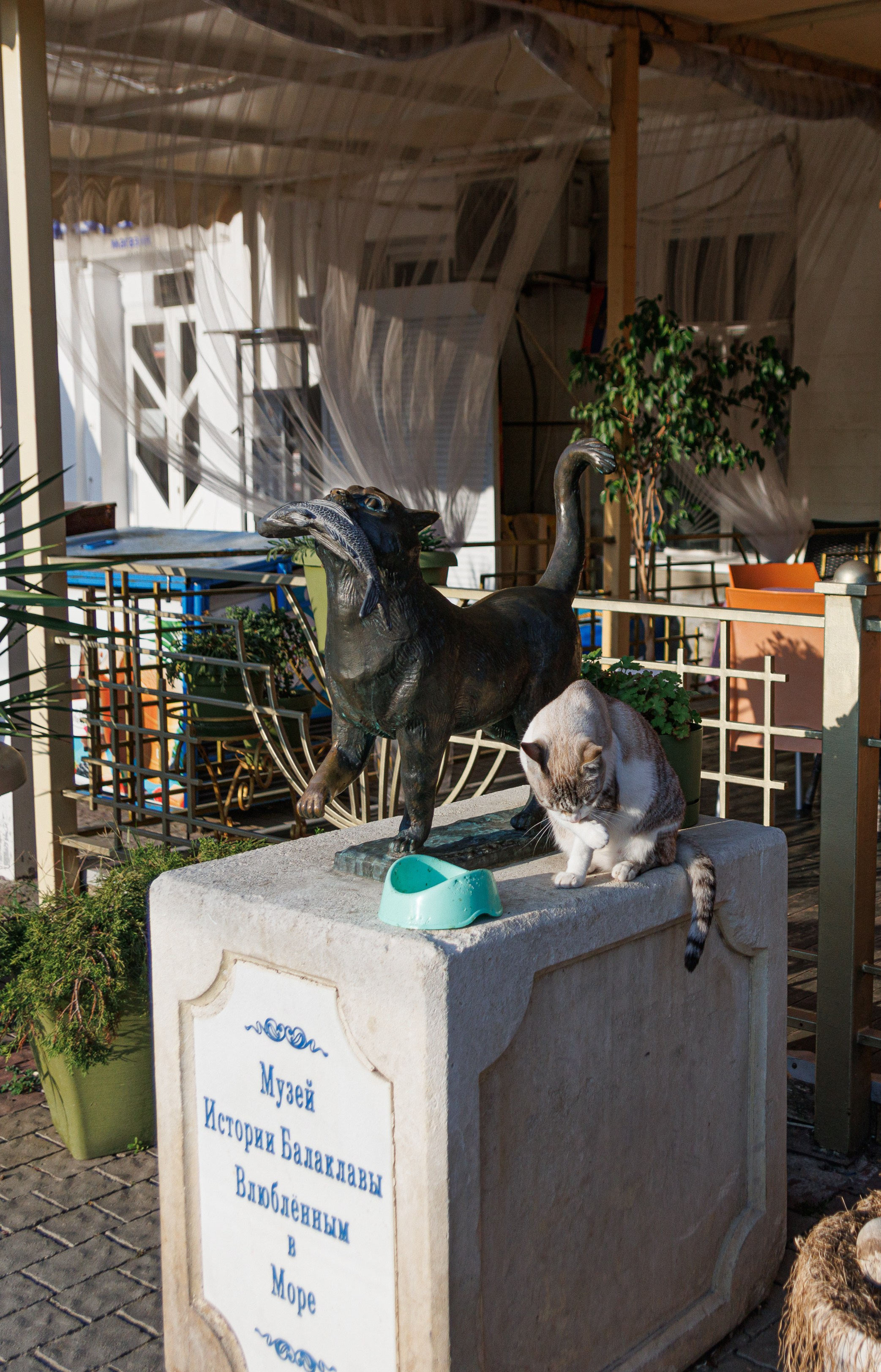 Свадьба Анастасия. Фотограф и видеограф в Крыму и Севастополе