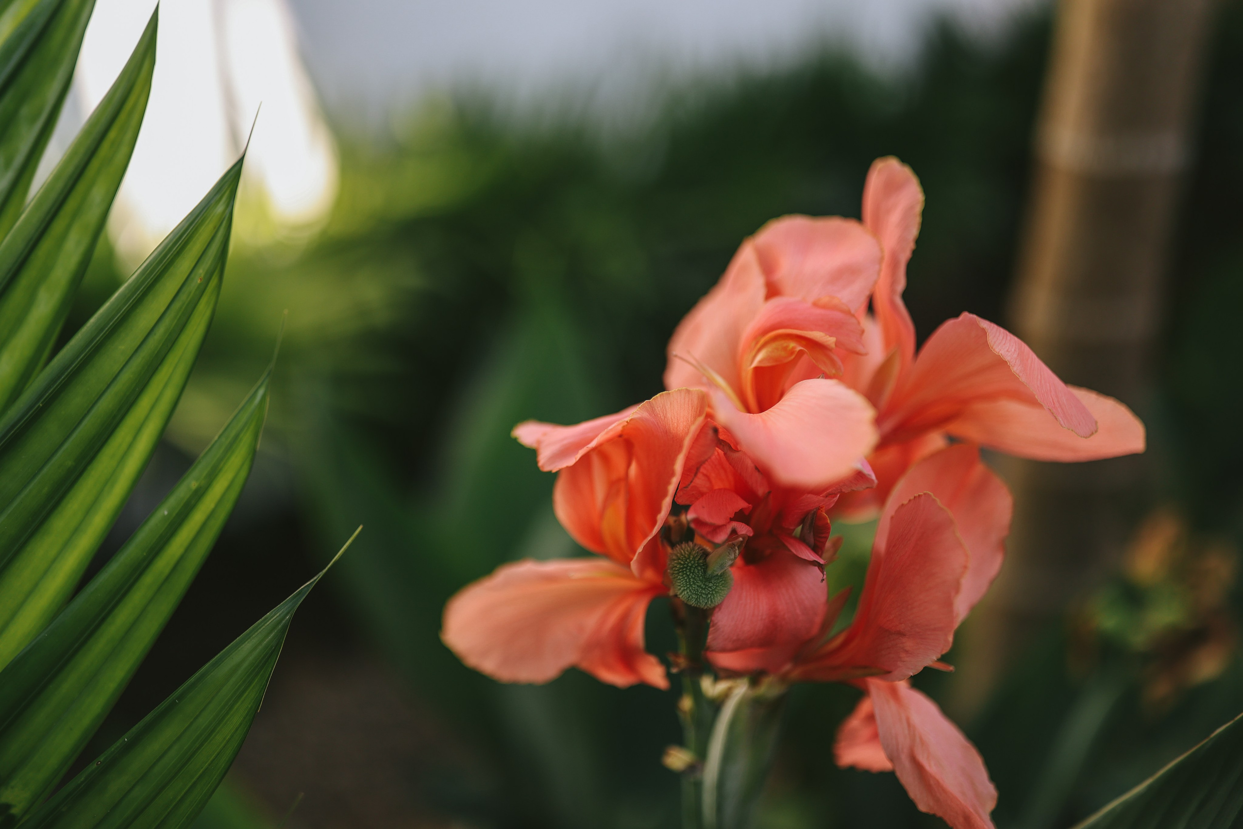 Thailand / Ban Sainai Resort. Ekaterina Buneeva Photography