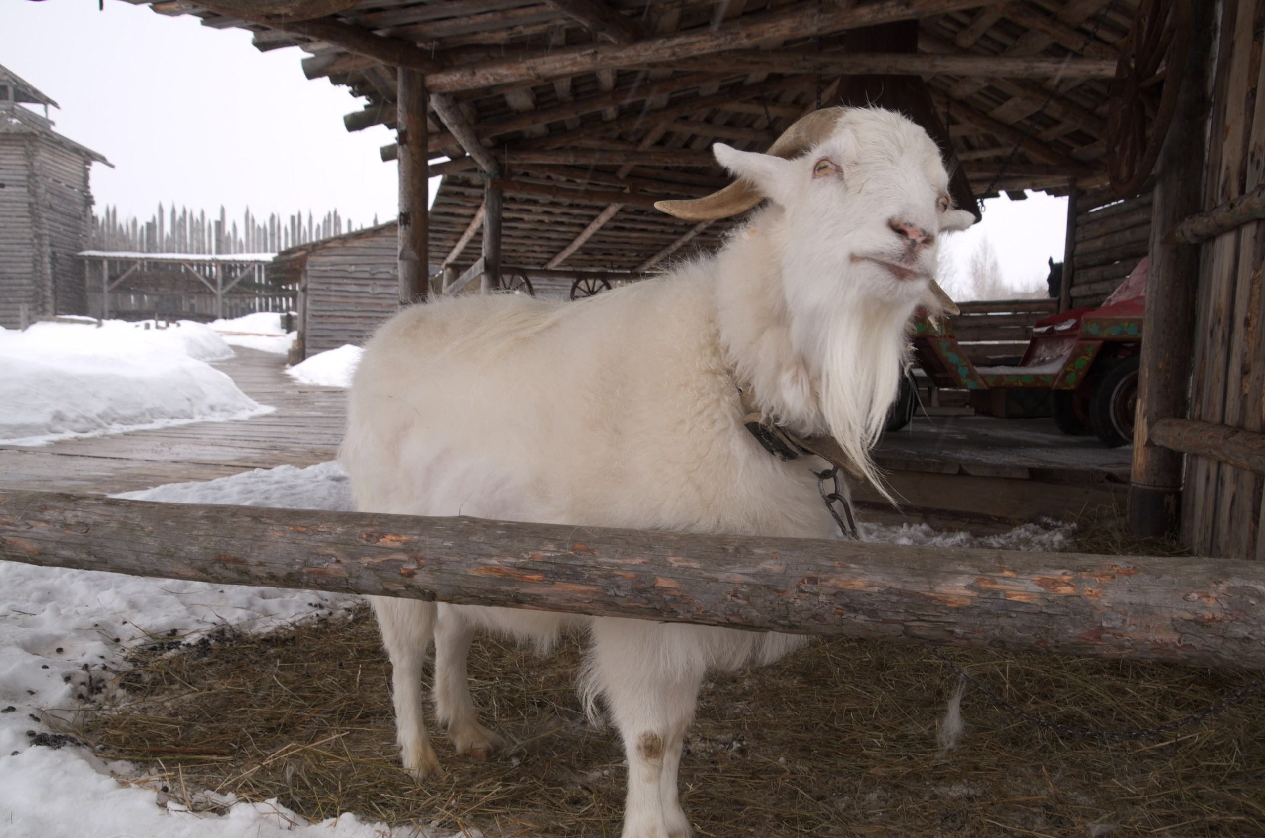 Владимир+Суздаль | 18-19.02.2017. Галерея Фантим