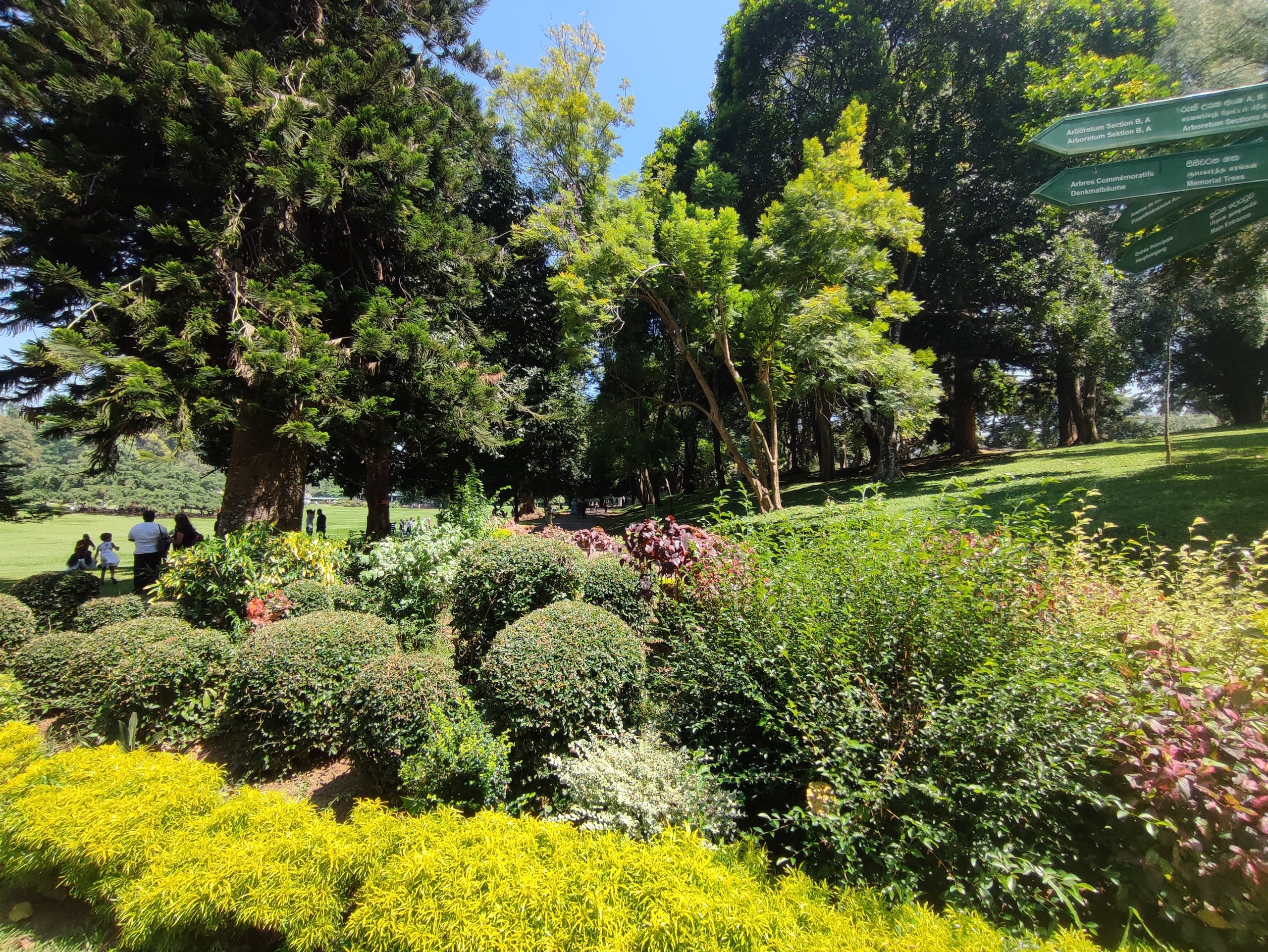 Шри-Ланка | 31.01 — 10.02.2025. Галерея Фантим