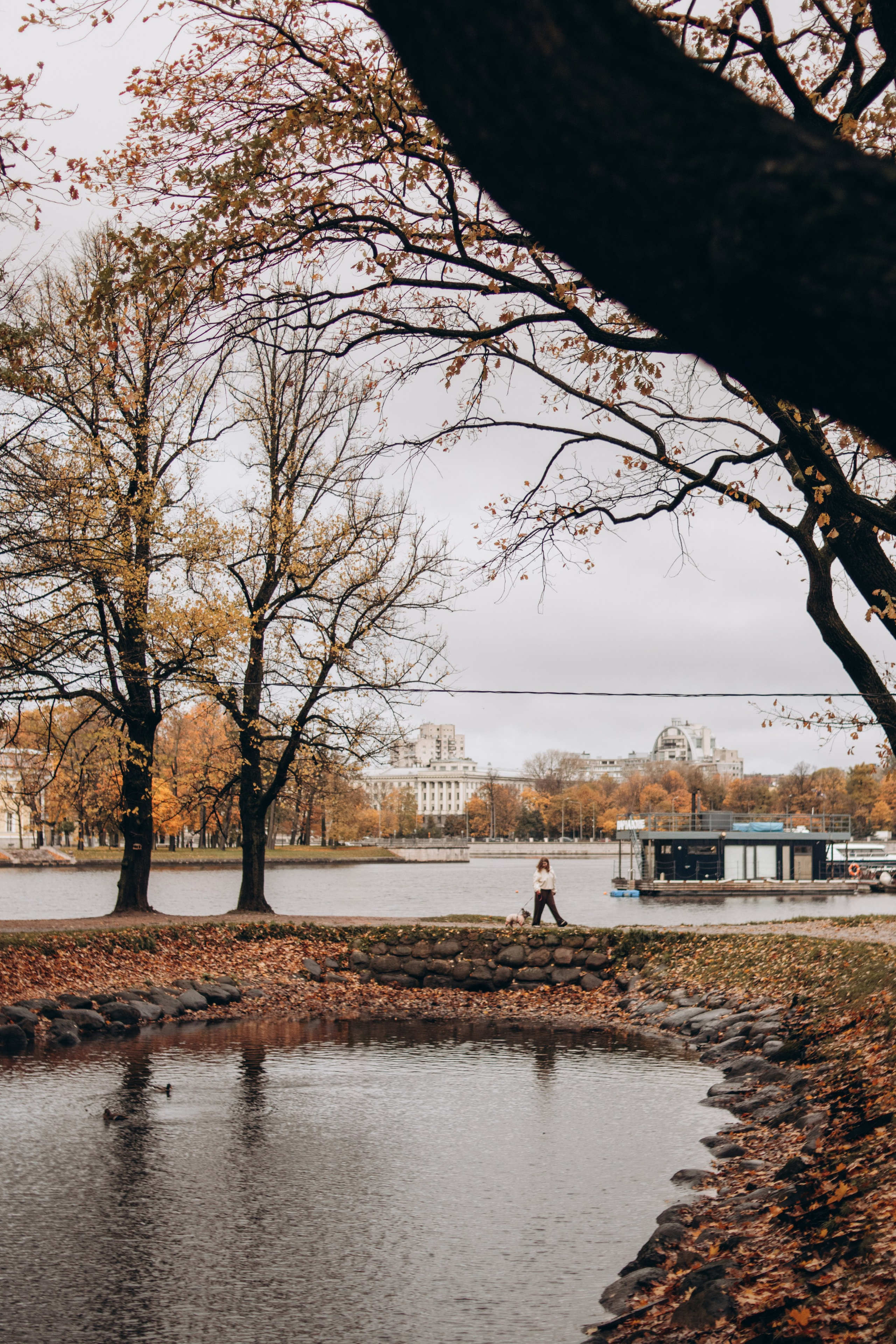 Алёна и Моника в красках осени. Фотограф-анималист в Санкт-Петербурге