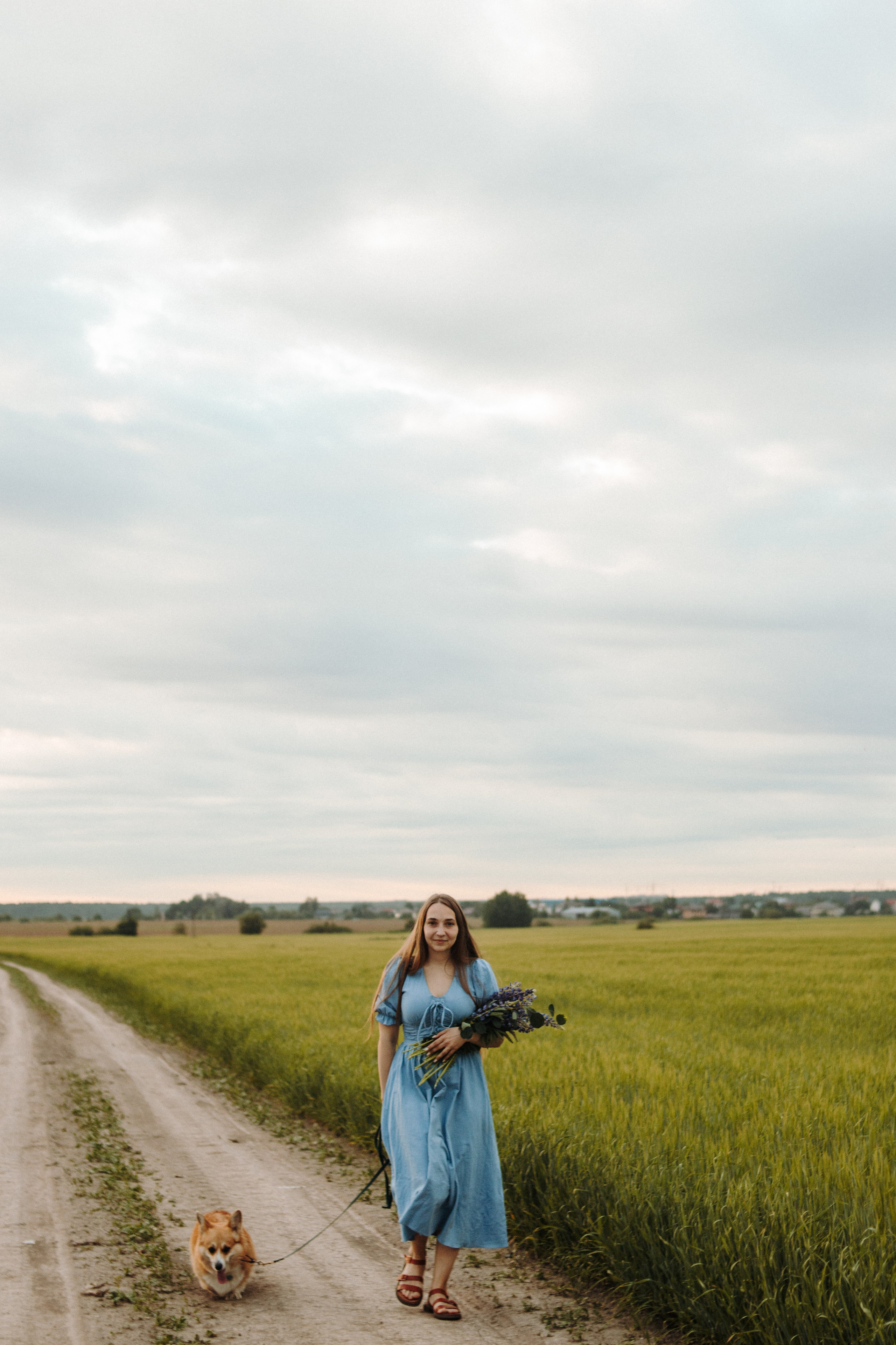 Оля и Жужа на просторах полей. Фотограф-анималист в Санкт-Петербурге