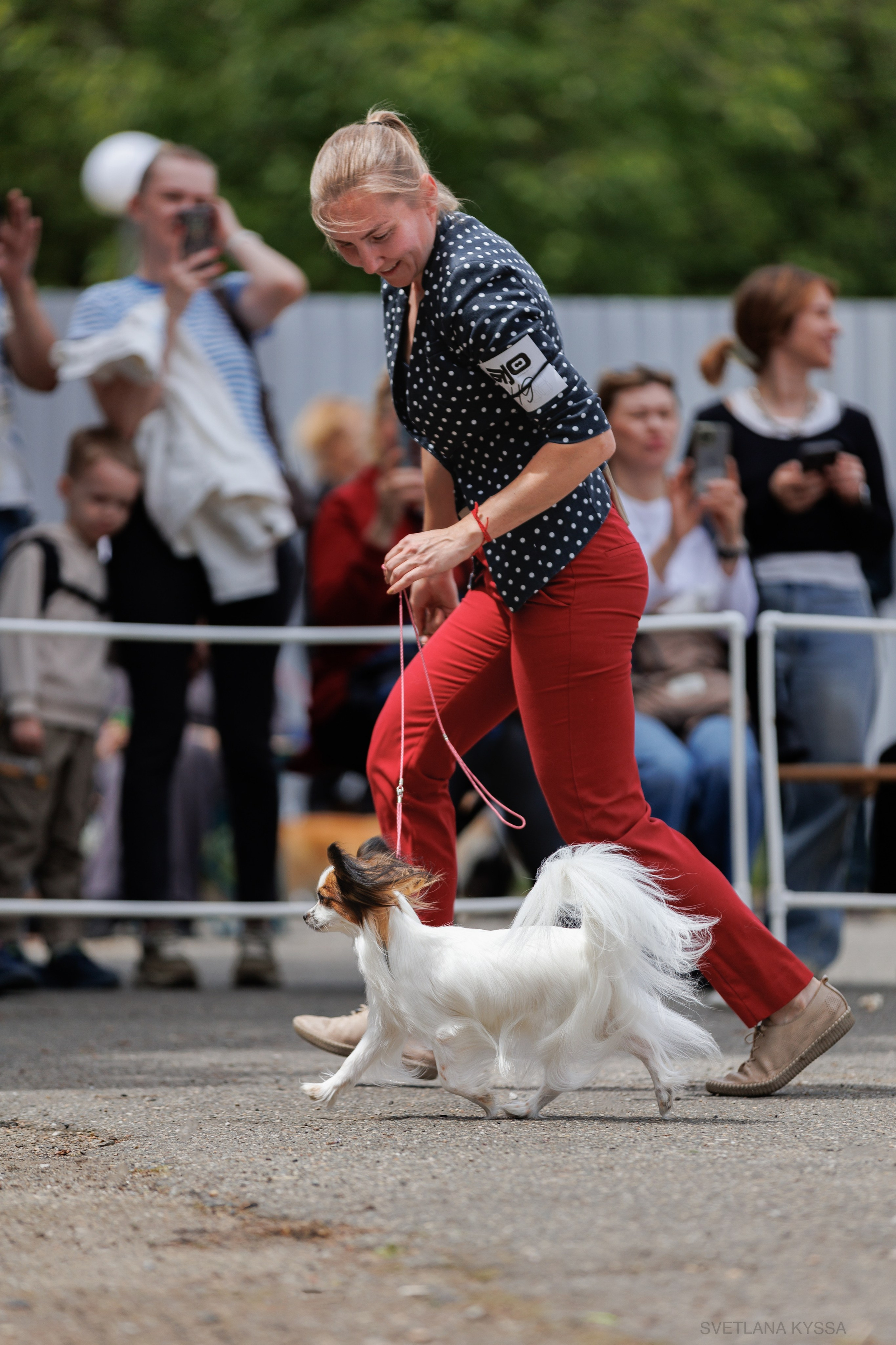 Фото с выставки собак. Фотограф — анималист Светлана Кысса|фотограф собак в Краснодаре и Нижнем Новгороде