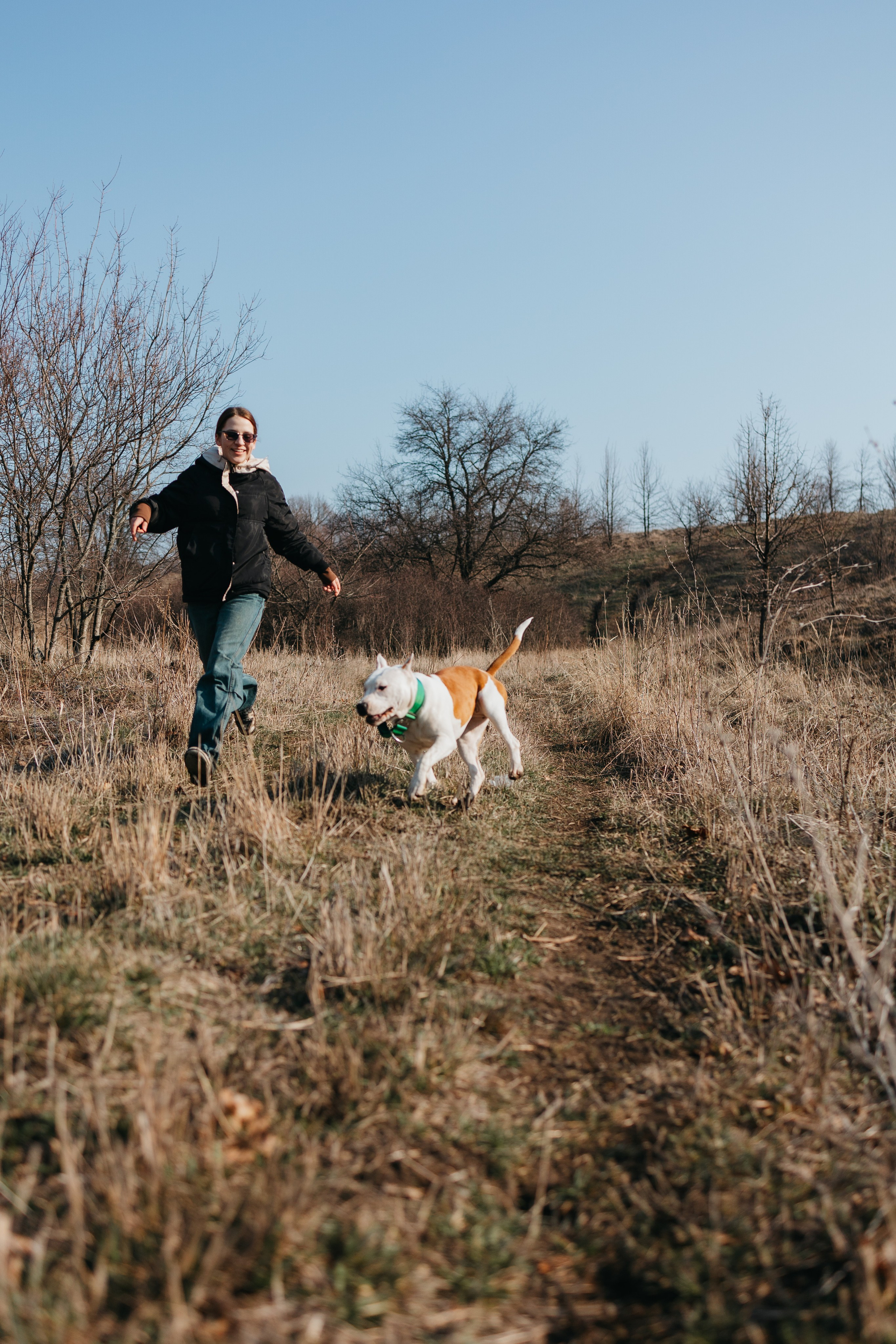 Лера, Ума и Винни. Фотограф — анималист Светлана Кысса|фотограф собак в Краснодаре и Нижнем Новгороде