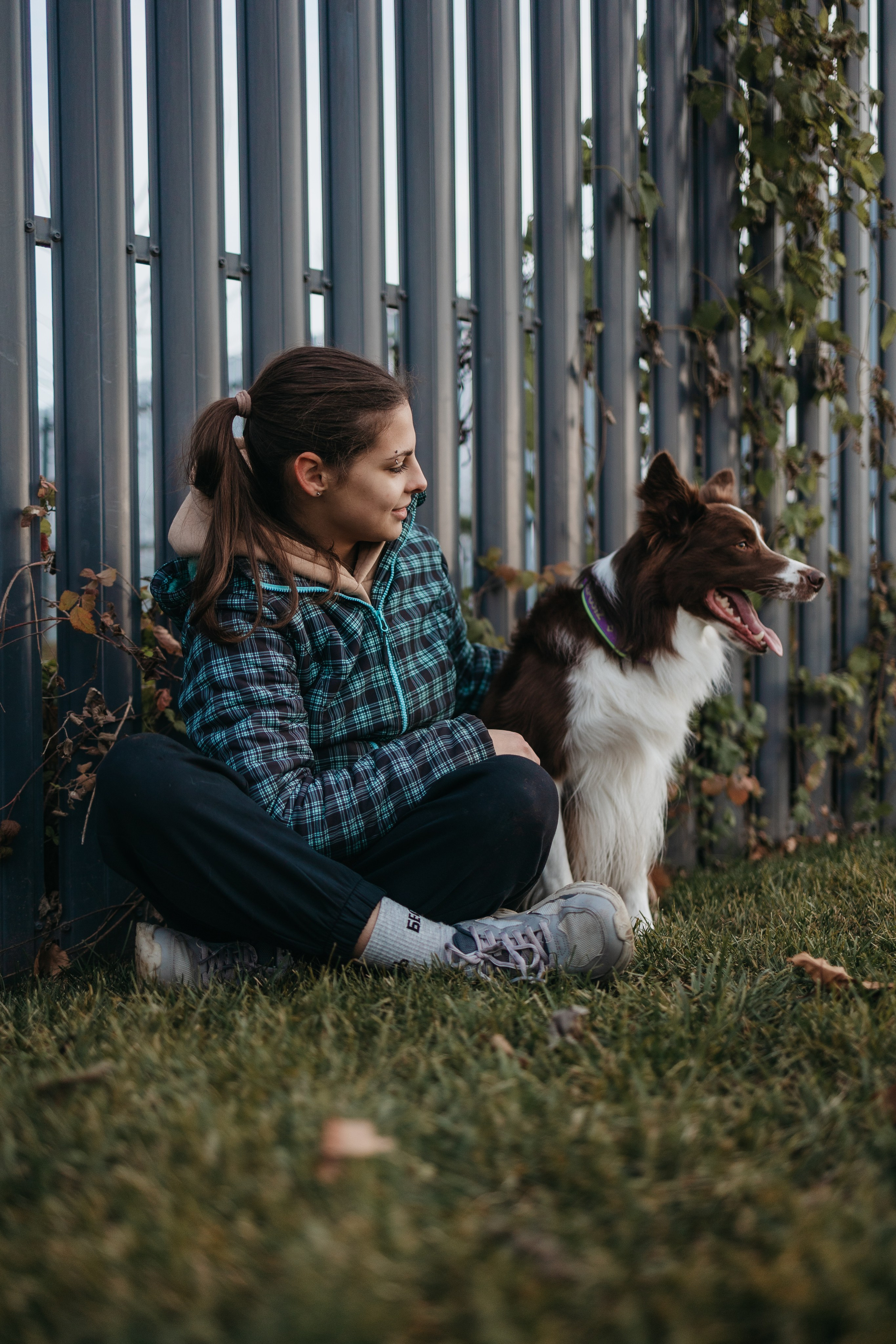 Маша и Тори. Фотограф — анималист Светлана Кысса|фотограф собак в Краснодаре и Нижнем Новгороде