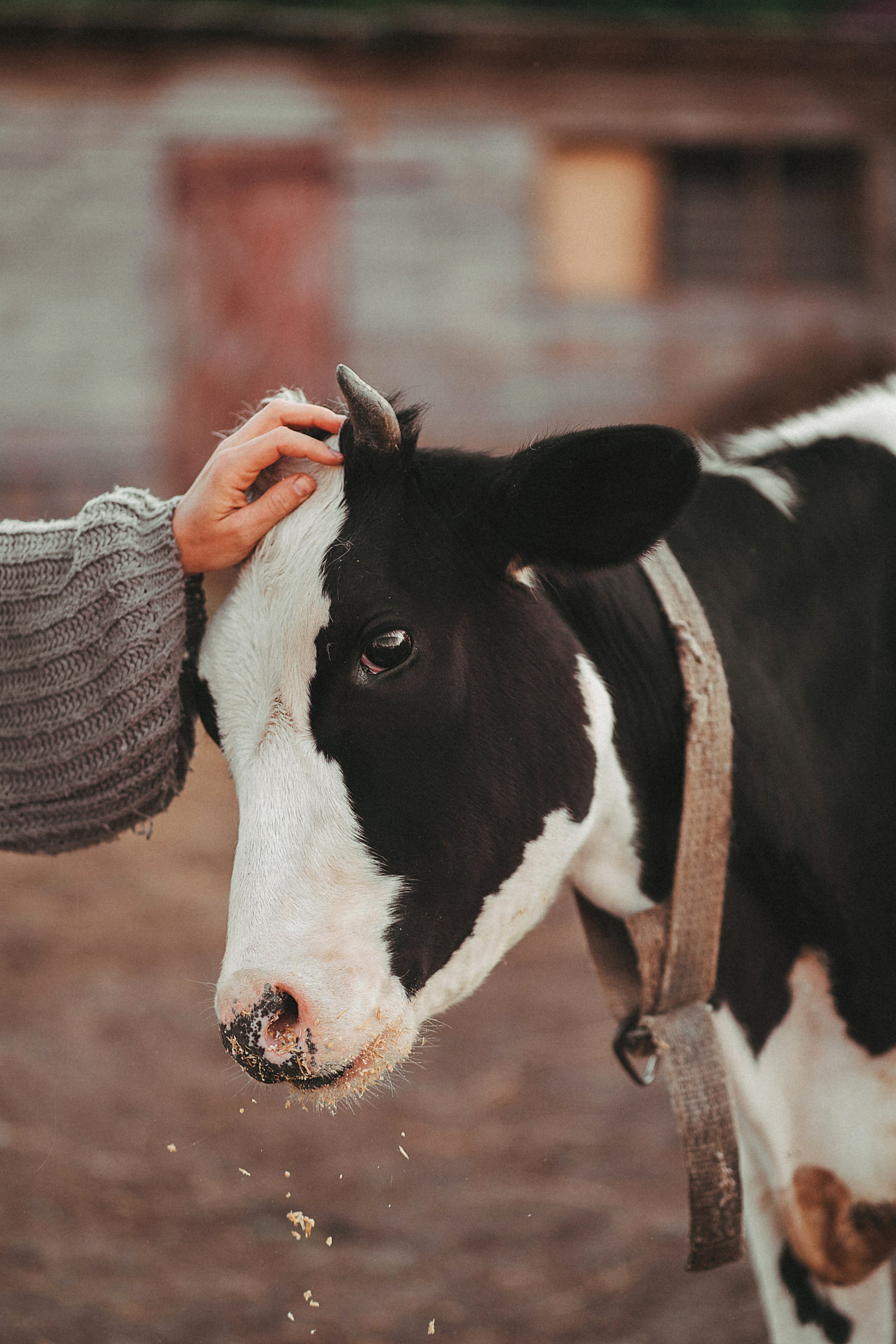 Художественные. Главная
