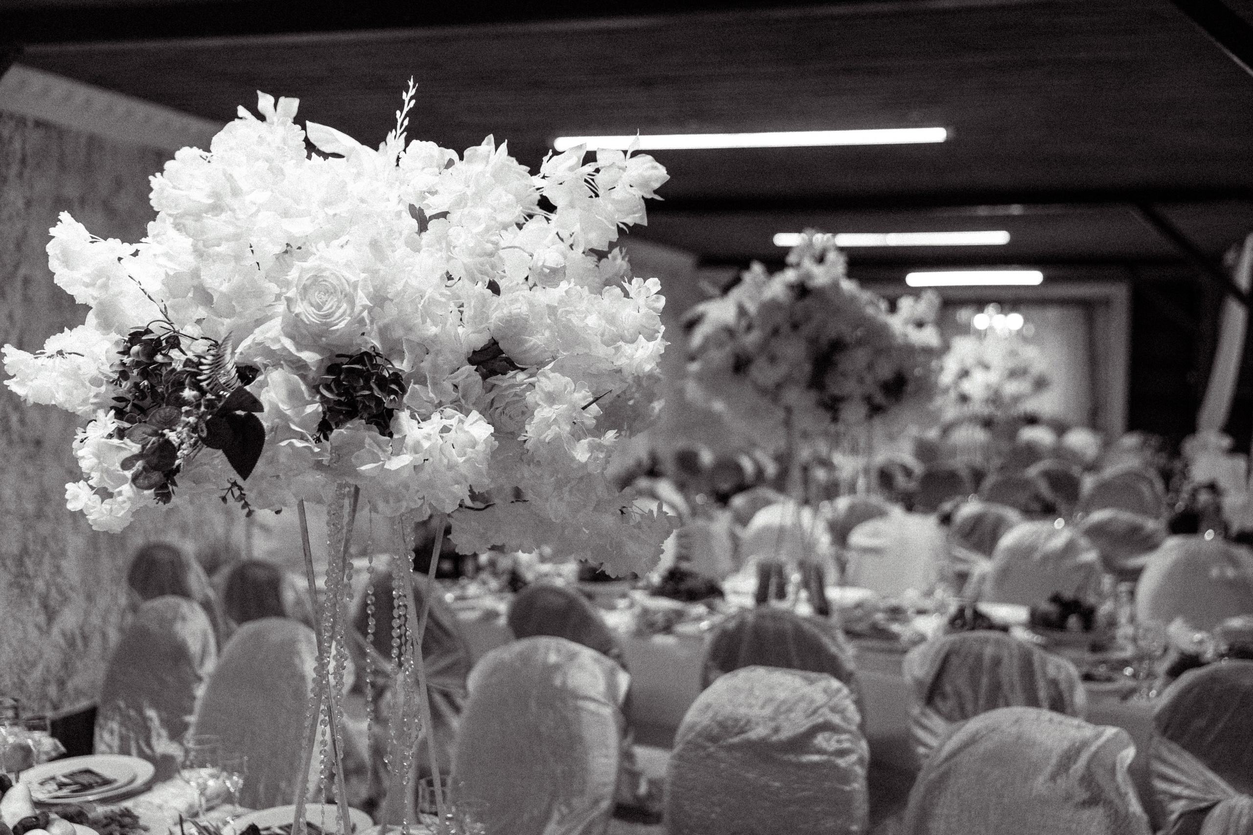 Эдгар и Амасик. Свадебный, семейный, детский фотограф в Воронеже, Липецке Ваганова Дарья