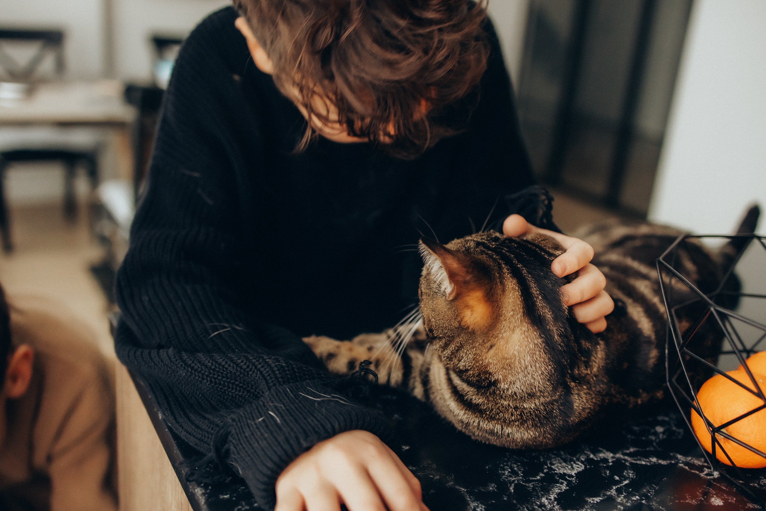 Руслан, Тимур и Луна. Семейный фотограф Москва