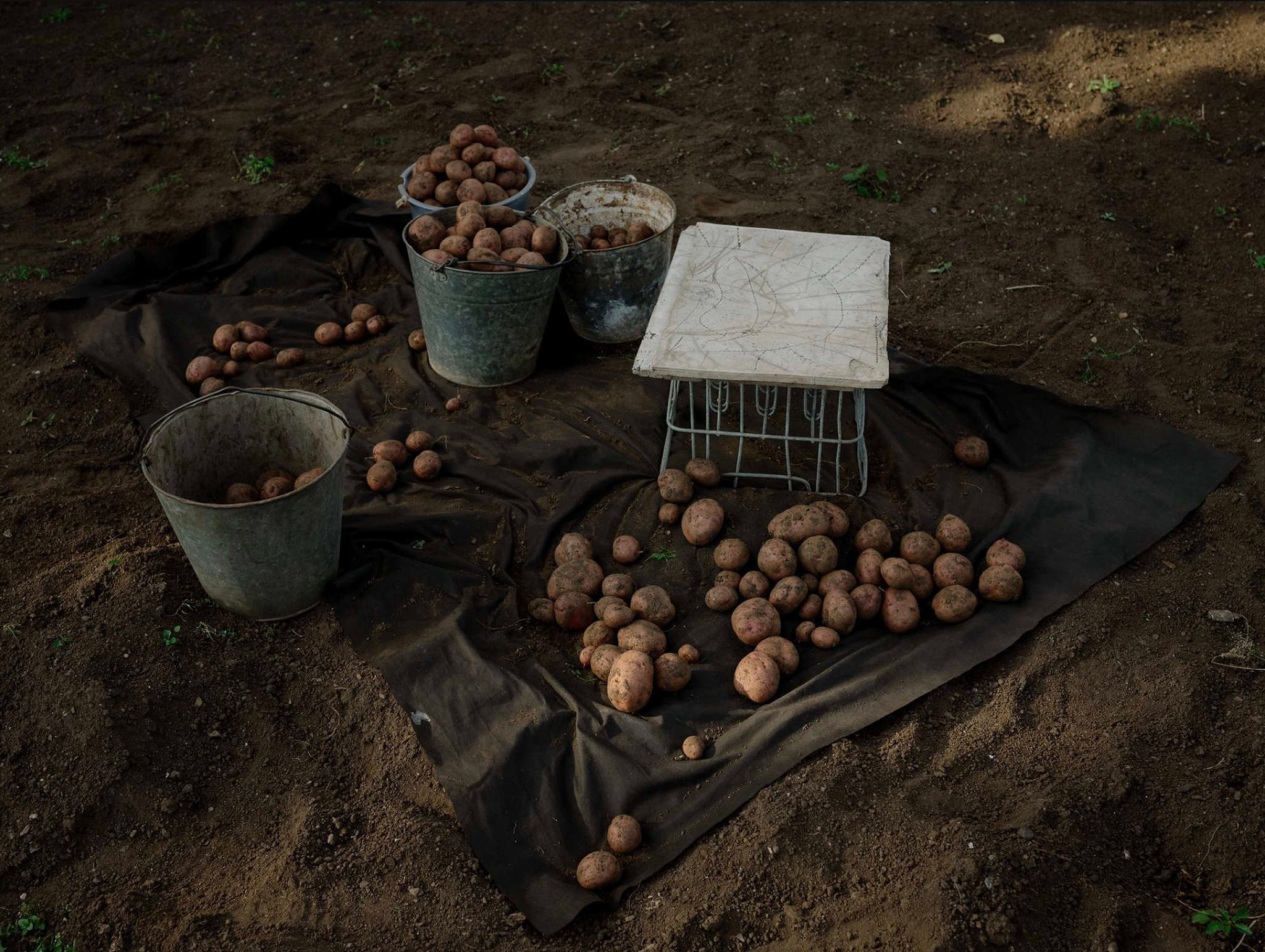 «Первая попытка конфронтации с моей семьёй и с самой собой». Алена Кардаш о победе в конкурсе World Press Photo. Фотограф Михаил Мордасов, Сочи. Мероприятия, портреты, спорт, репортаж