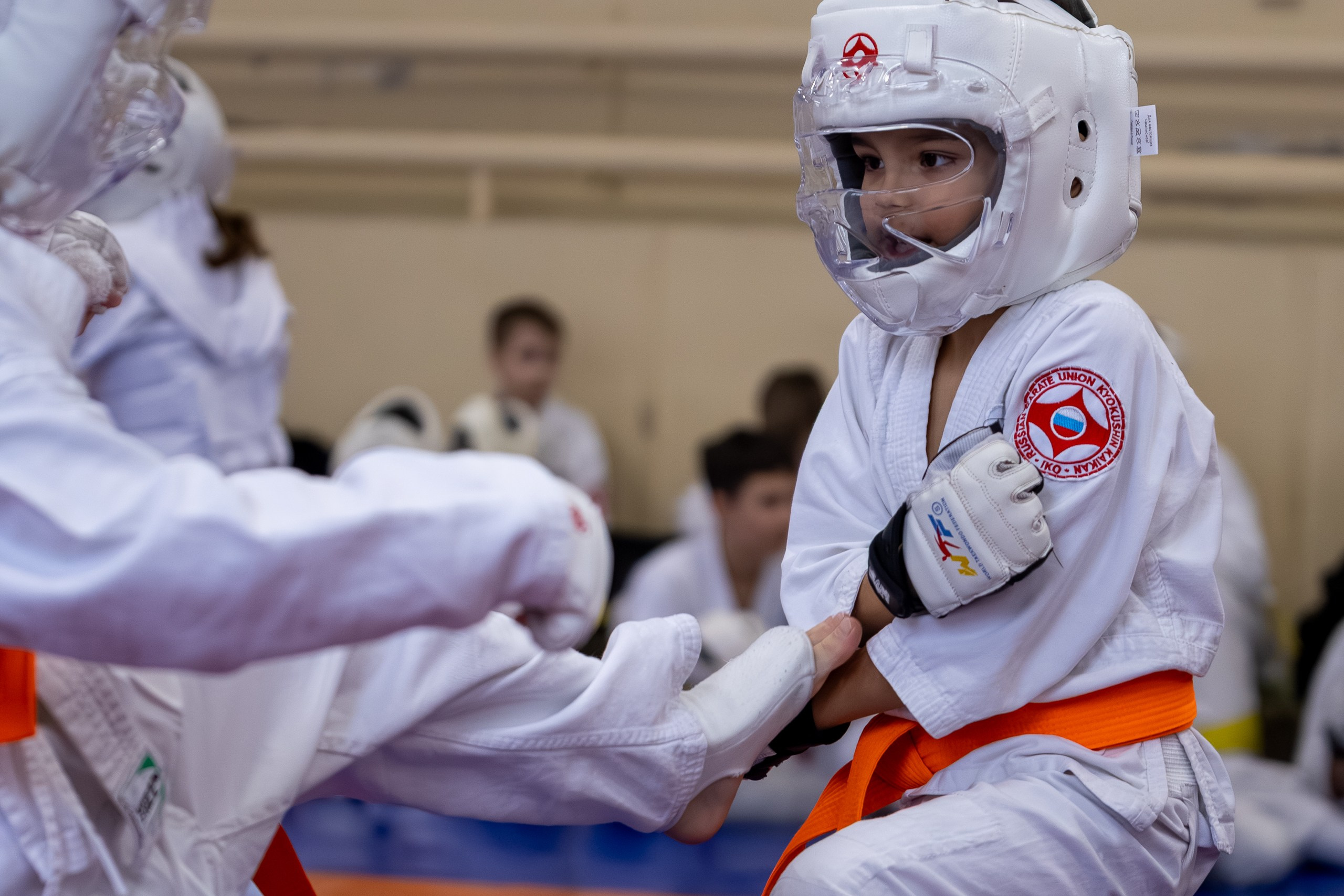 Открытый урок по карате февраль 2026. Главная
