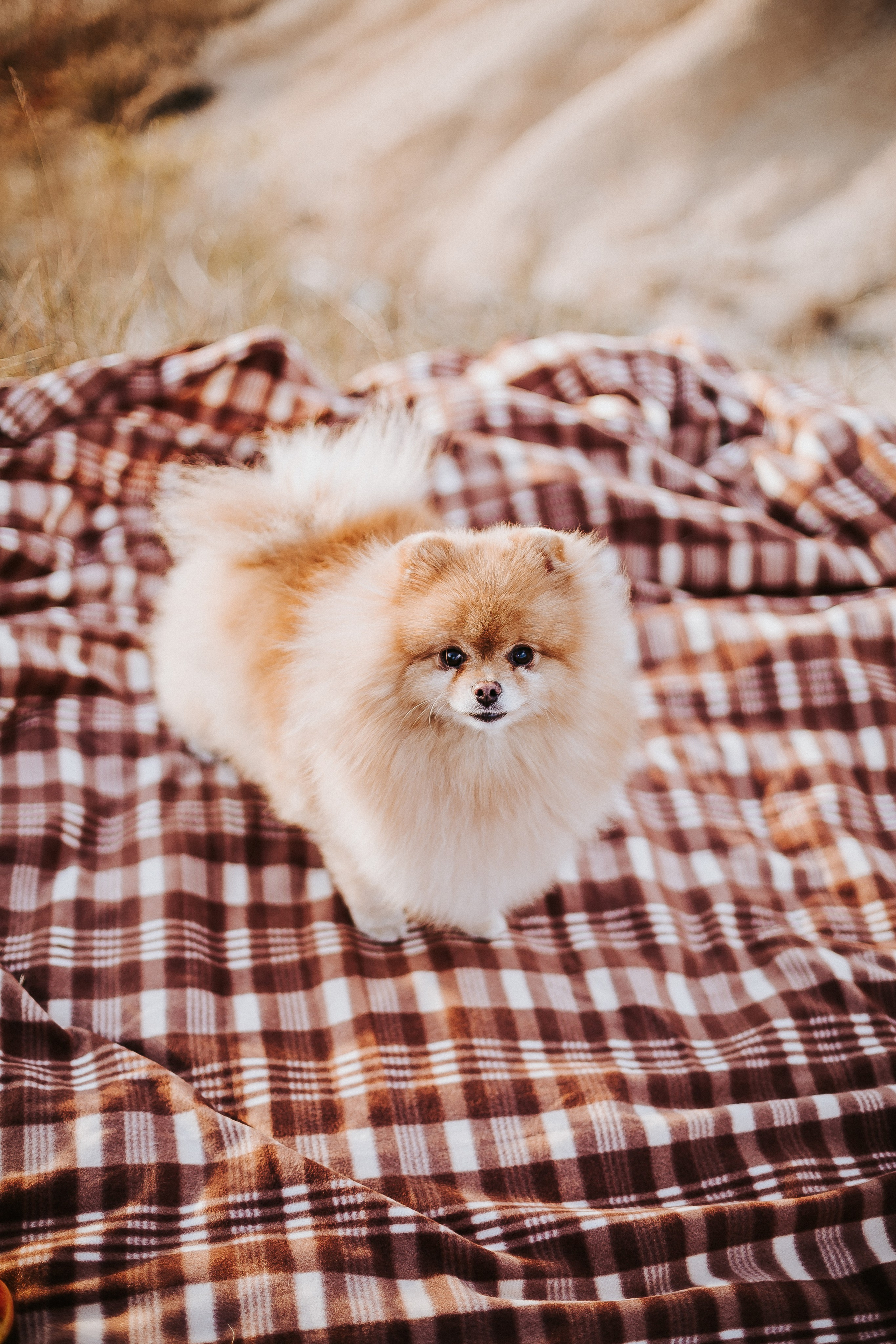 Lovestory М|А. Свадебное фото свадебное видео фотограф видеограф Липецк Воронеж