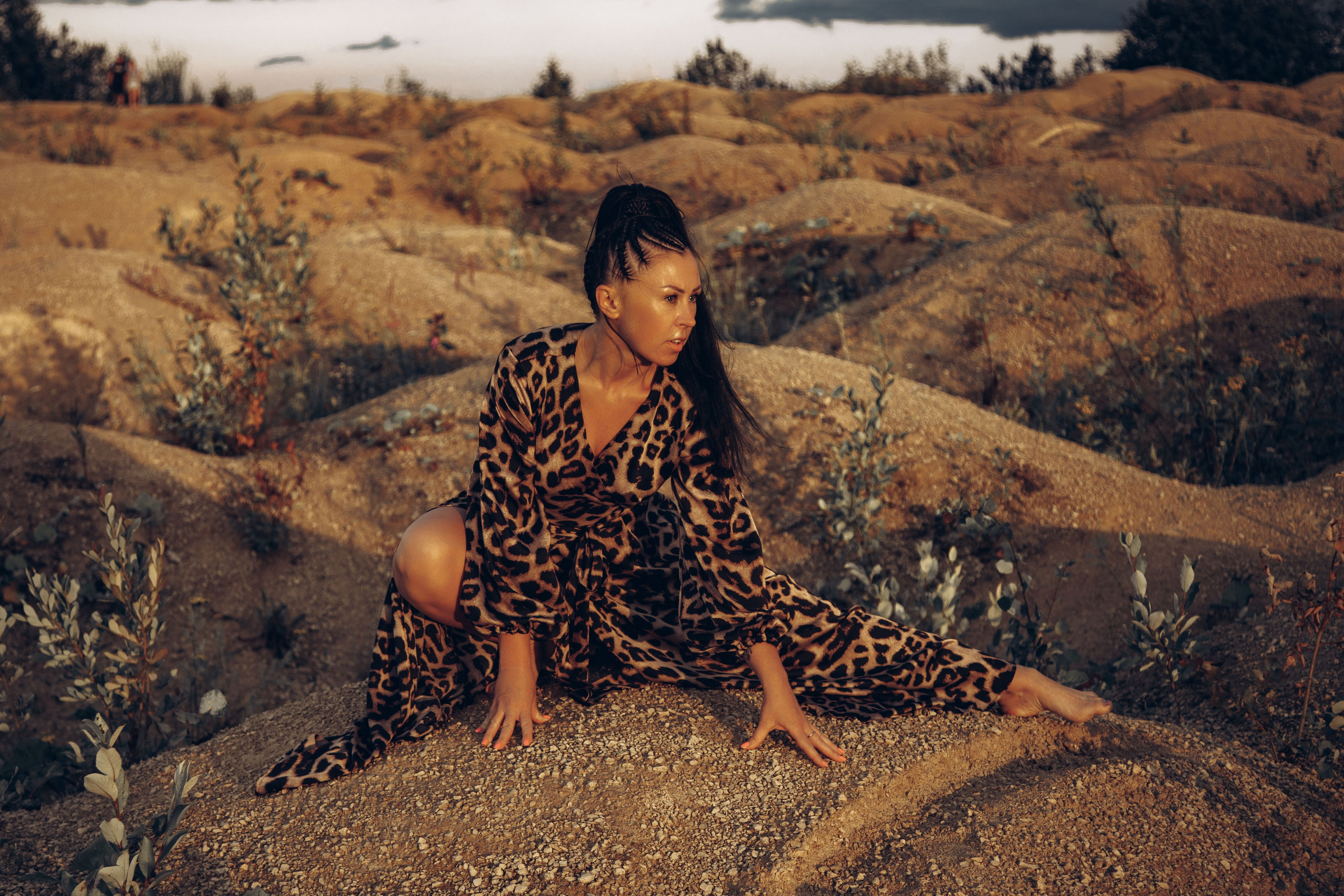 Леопард. Фотограф в Санкт-Петербурге