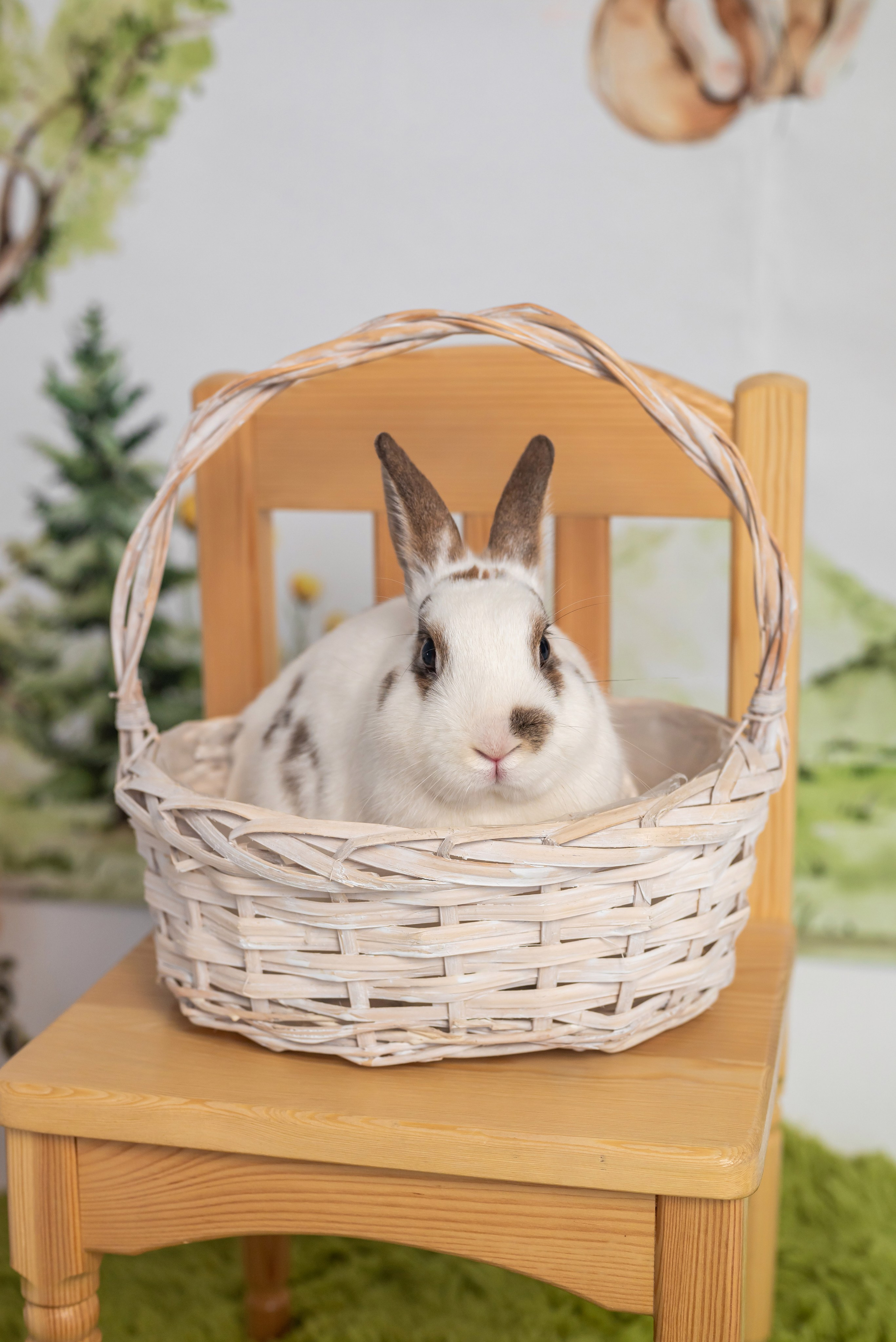 Фотопроект *Пасха*. Фотограф в городе Салават