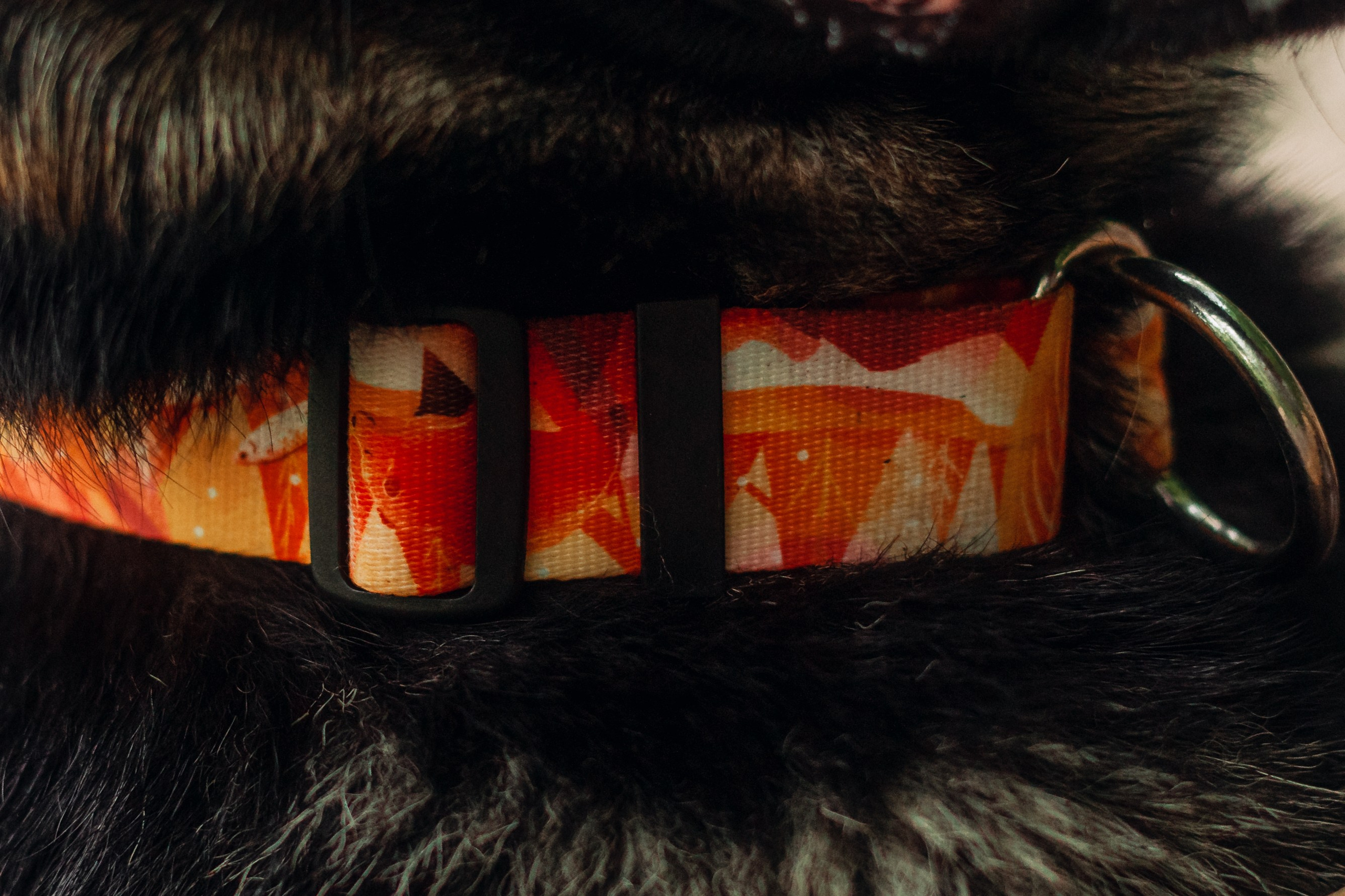 Лесная летняя фотопрогулка. Фотограф-анималист Татьяна Степанова