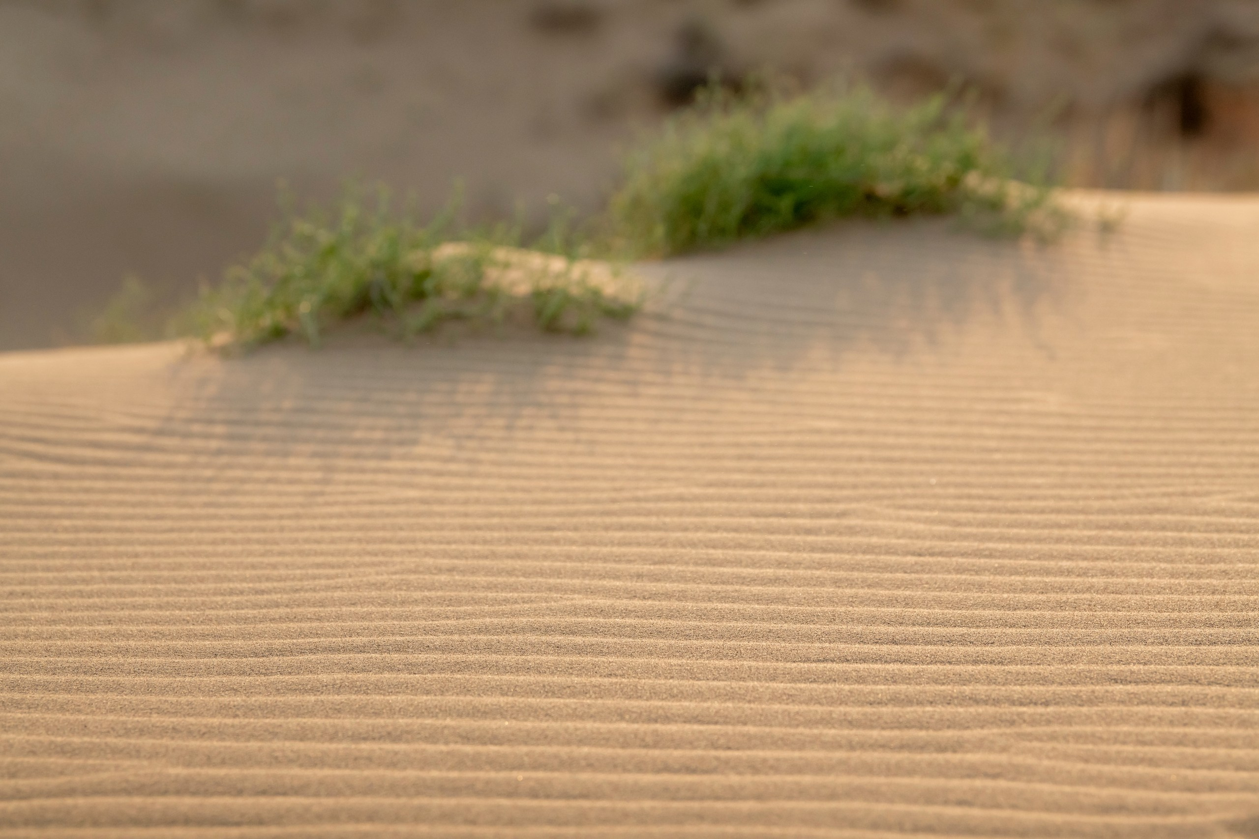 Природа Дагестана, сентябрь 2024. Foto-Zuev фотография как искусство