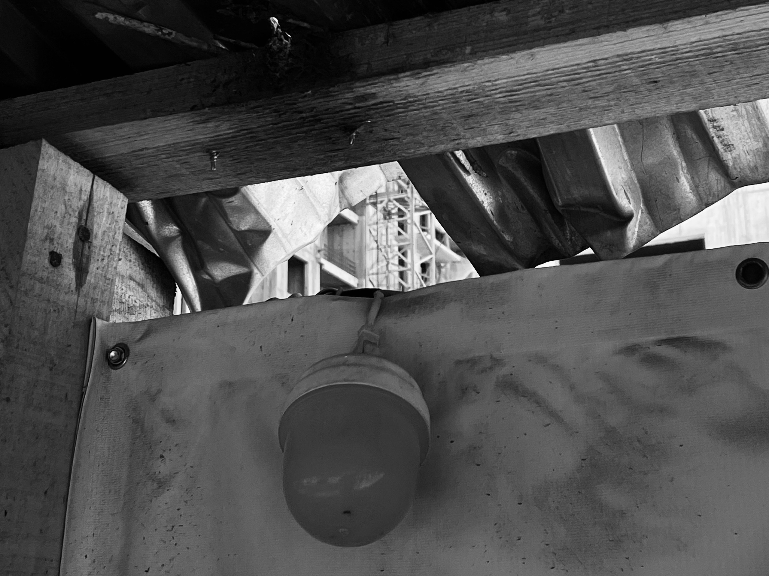 5=30. Елизавета БаковА