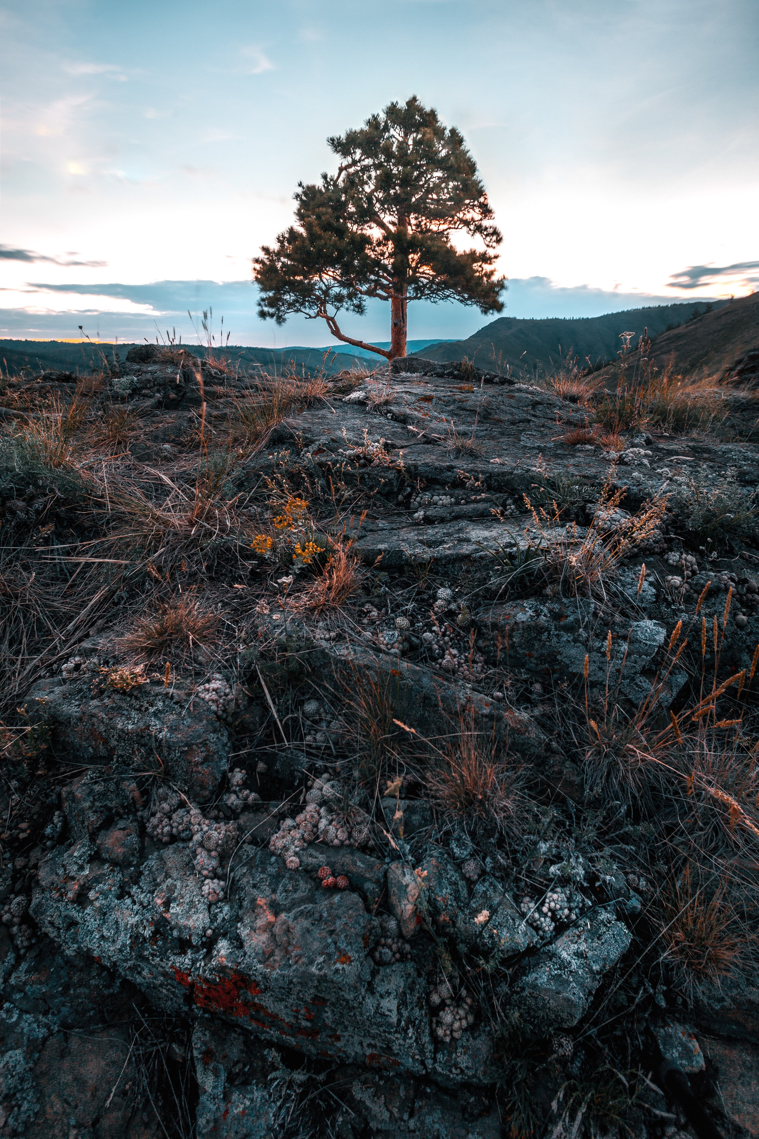 Nature Photos. Commercial photographer | Anton Ermakov