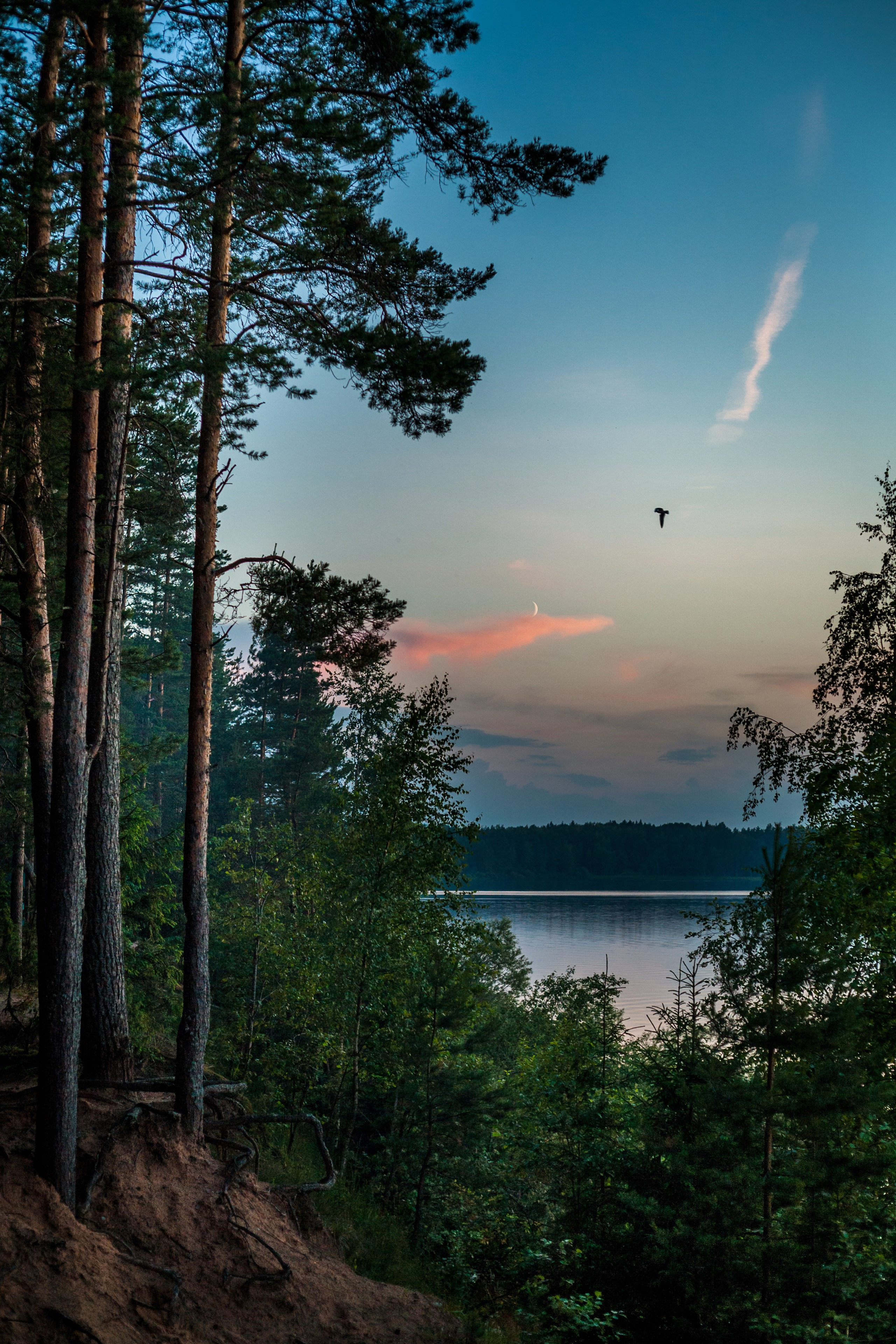 Nature Photos. Commercial photographer | Anton Ermakov