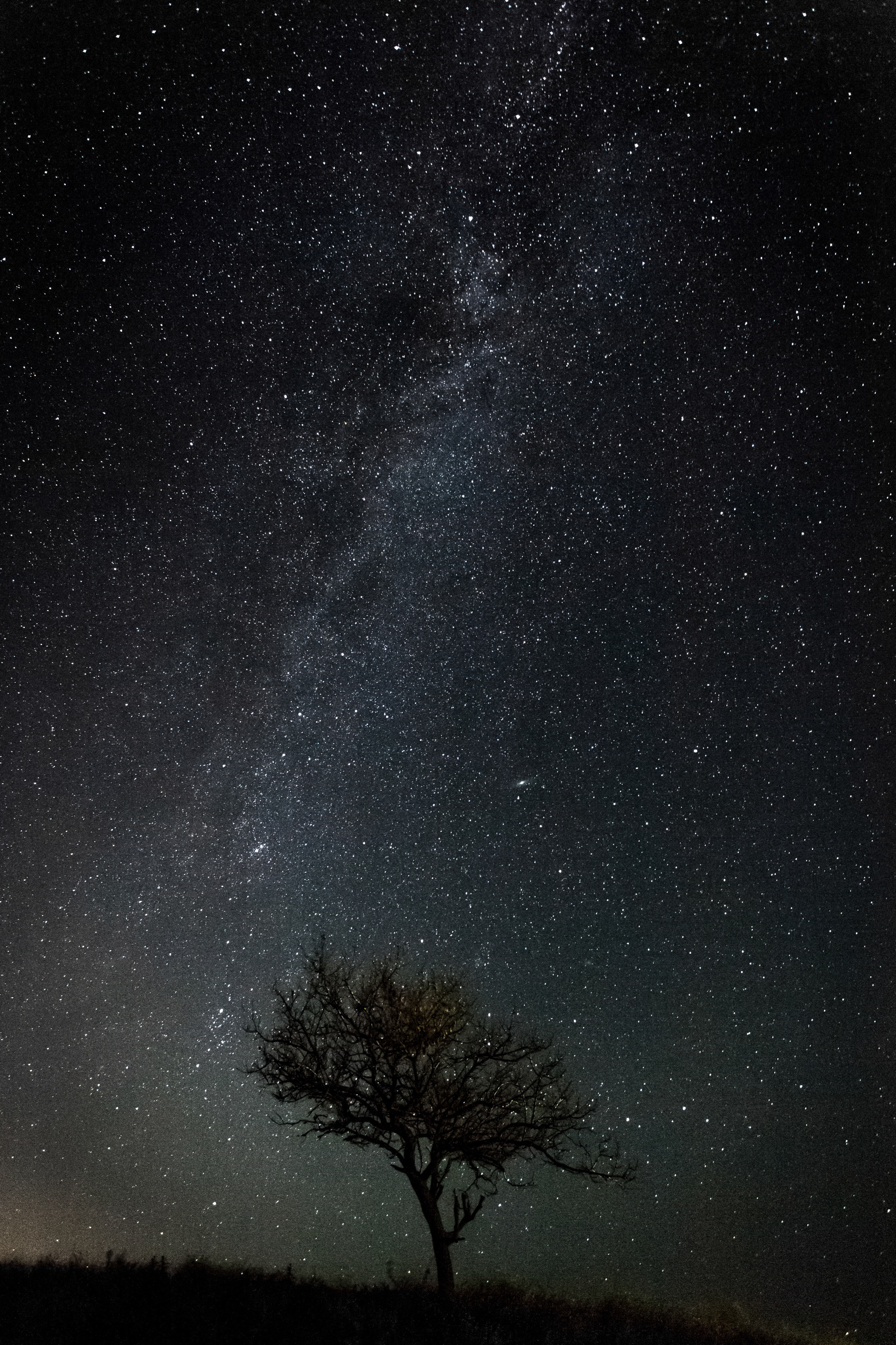 Nature Photos. Commercial photographer | Anton Ermakov