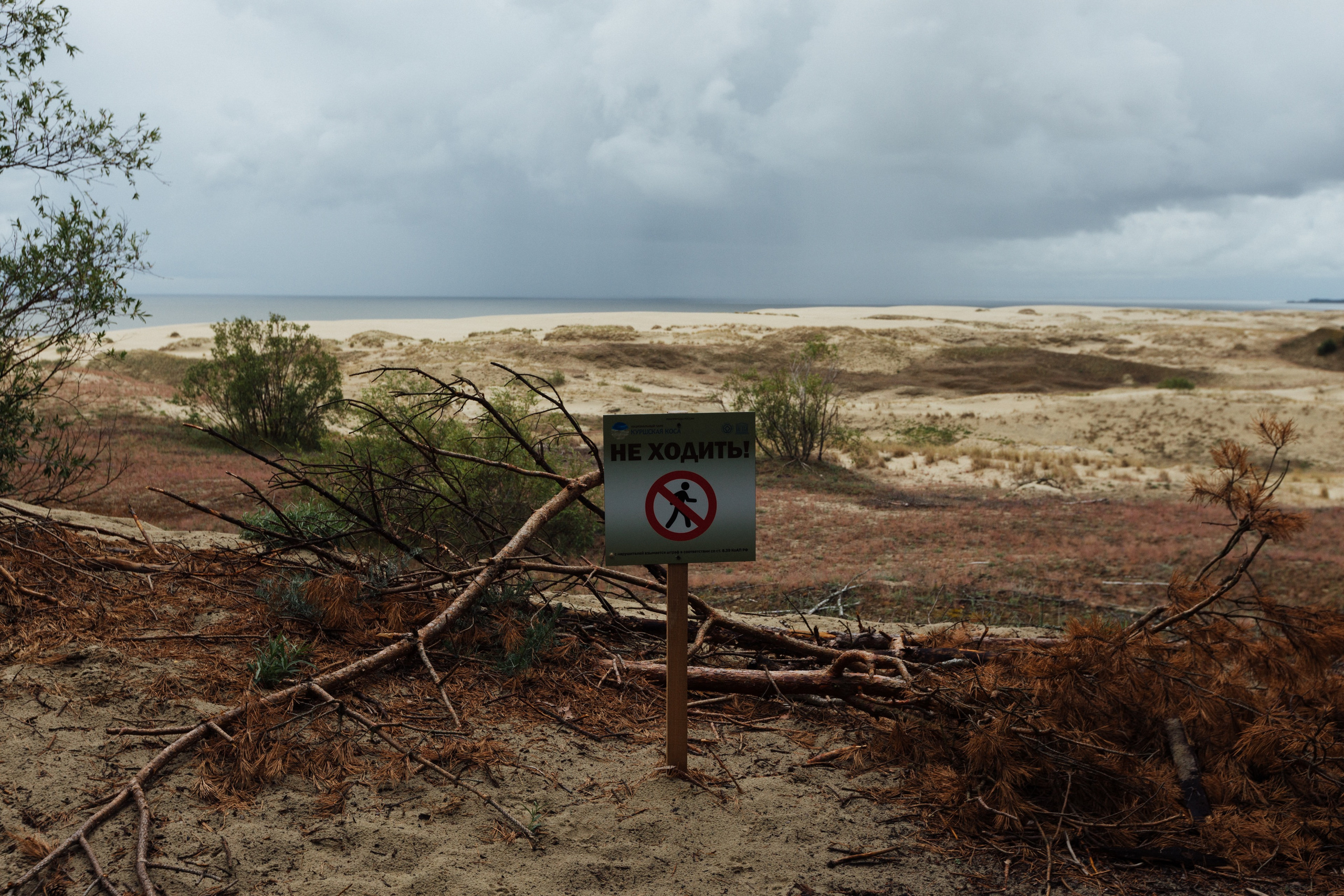 Curonian Spit 2023. Commercial photographer | Anton Ermakov