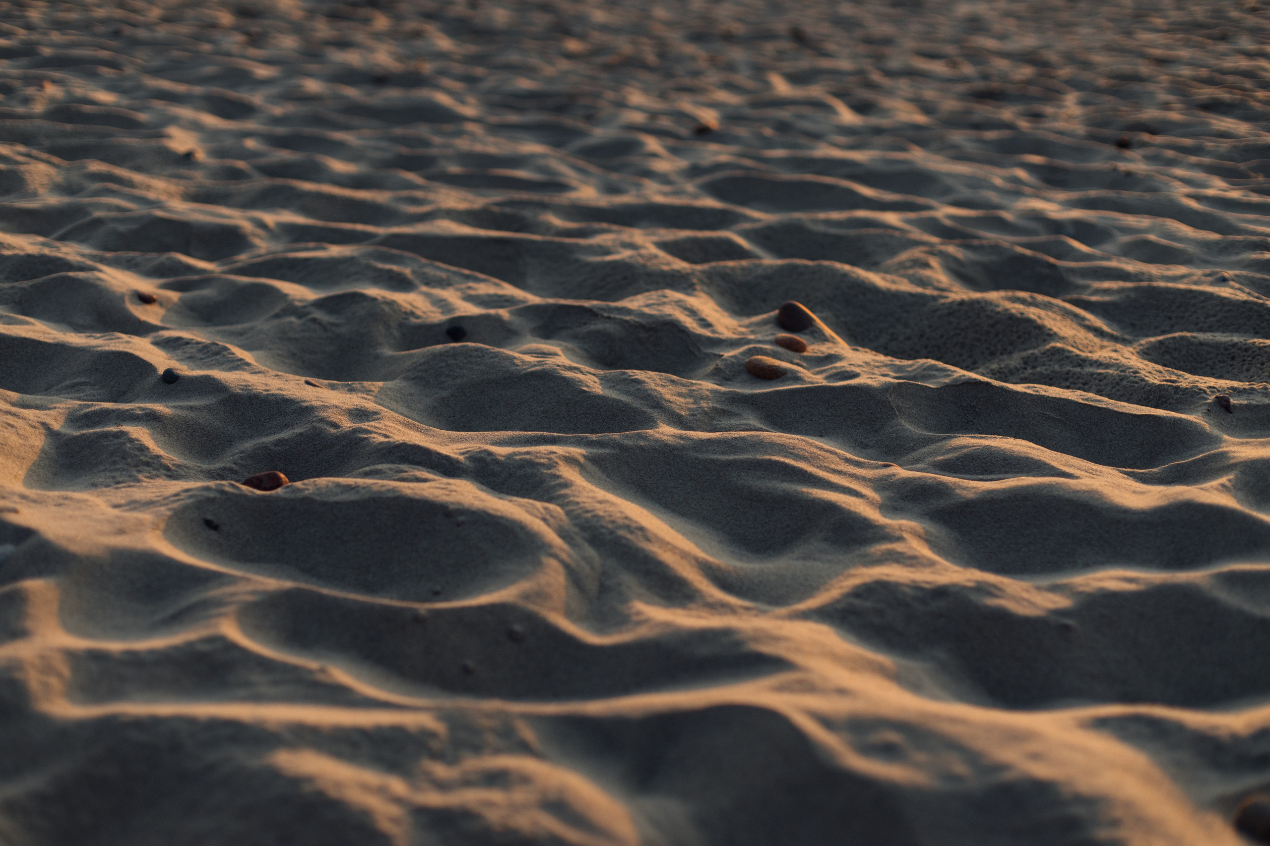 Curonian Spit 2023. Commercial photographer | Anton Ermakov