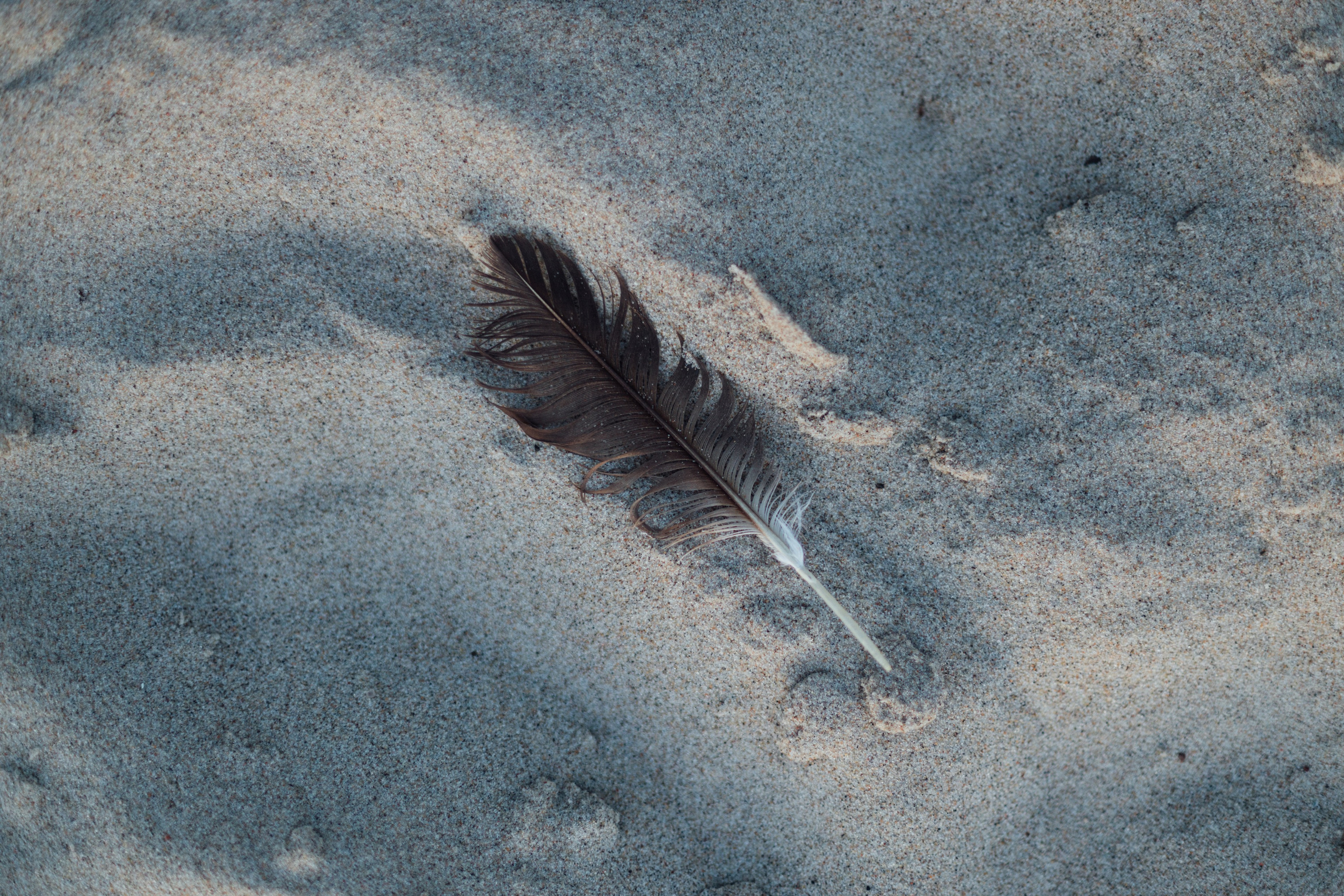 Curonian Spit 2023. Commercial photographer | Anton Ermakov