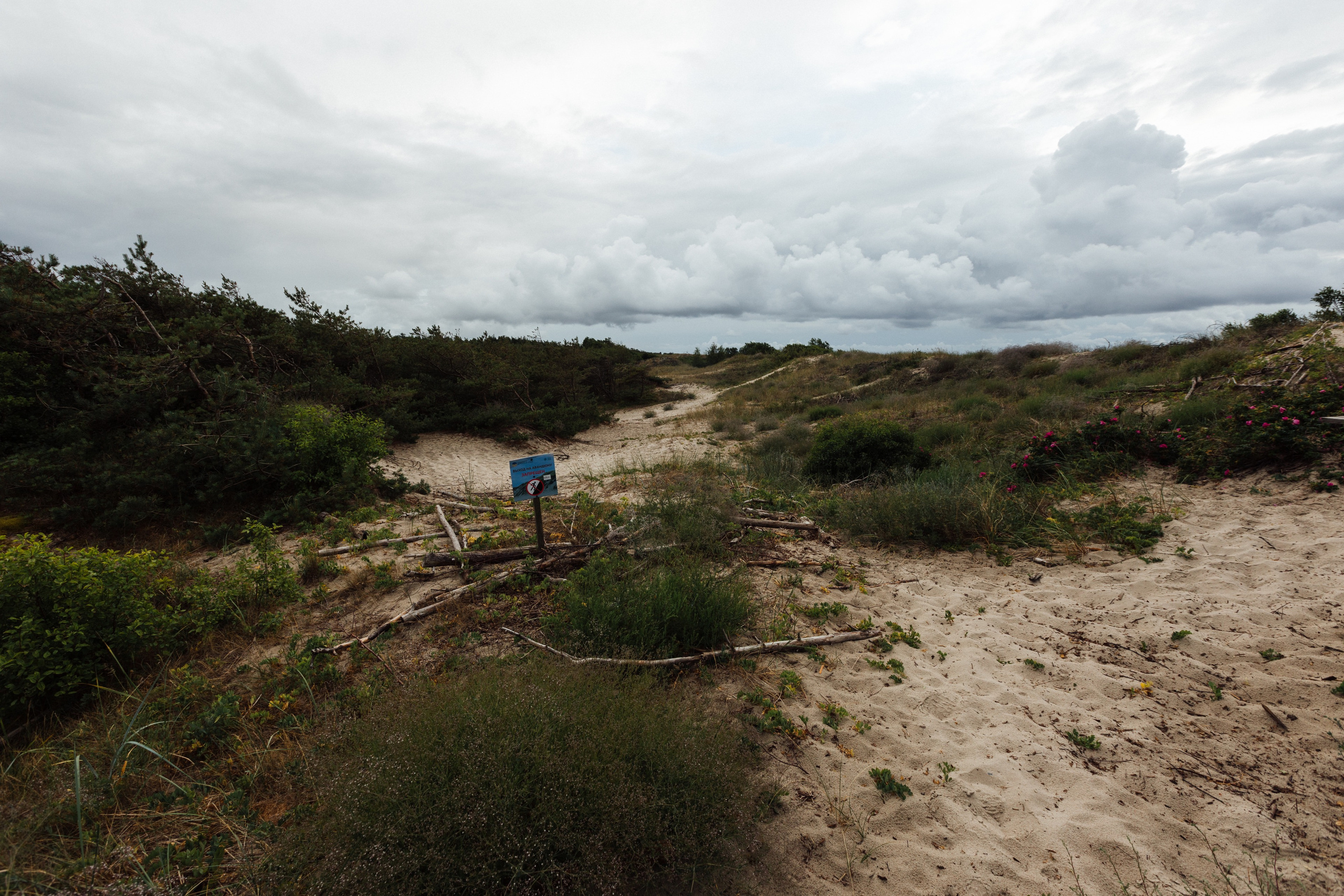 Curonian Spit 2023. Commercial photographer | Anton Ermakov