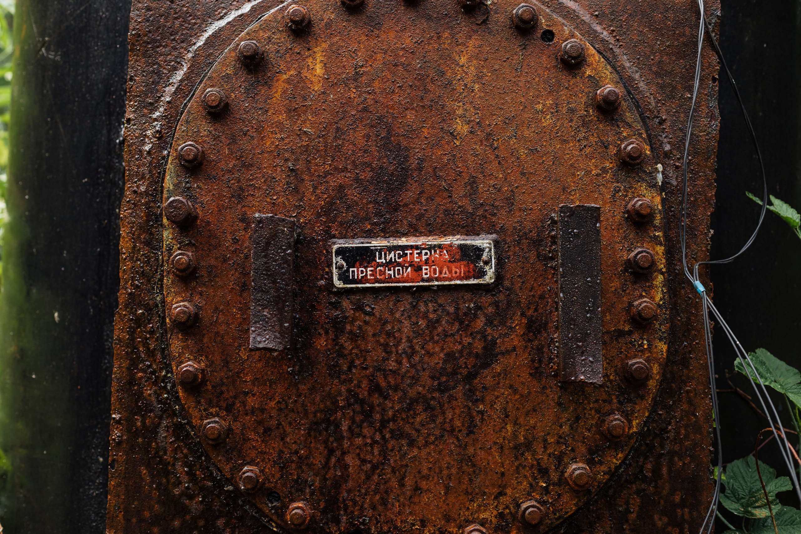 Curonian Spit 2023. Commercial photographer | Anton Ermakov